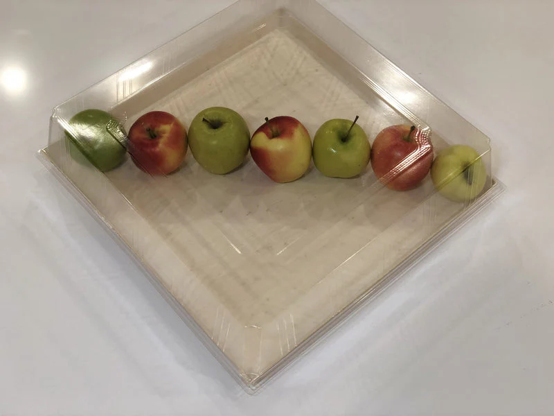 16X16 VerTerra Clear Cover for TG-TR-16X16 - 25 pcs - Image 2