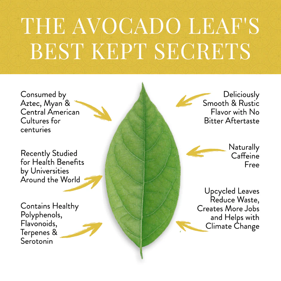 2 Pack Avocado Leaf Tea Lemon Blend by Avocado Tea Co. - Image 5
