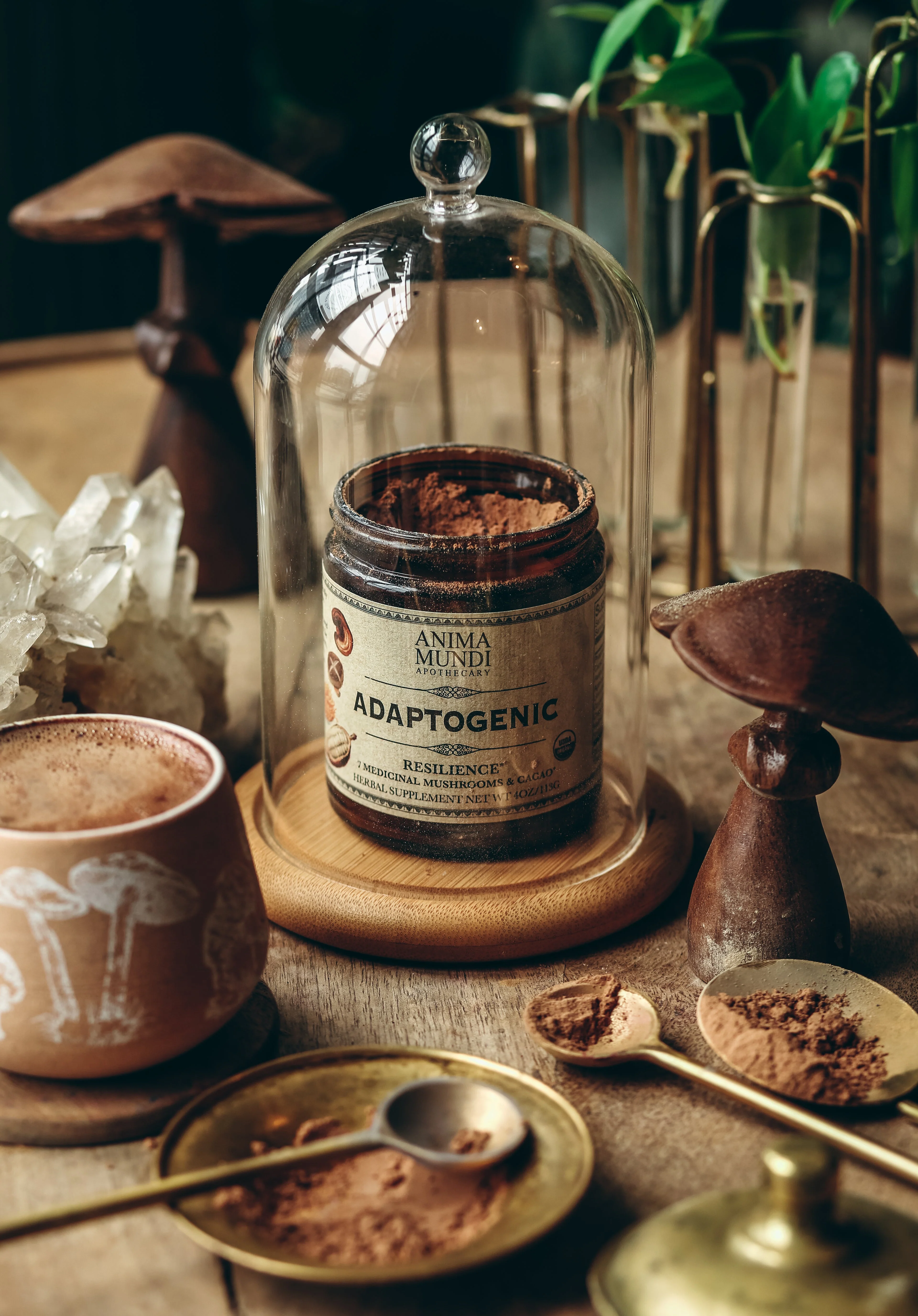 ADAPTOGENIC Powder | 7 Medicinal Mushrooms + Cacao - Image 11