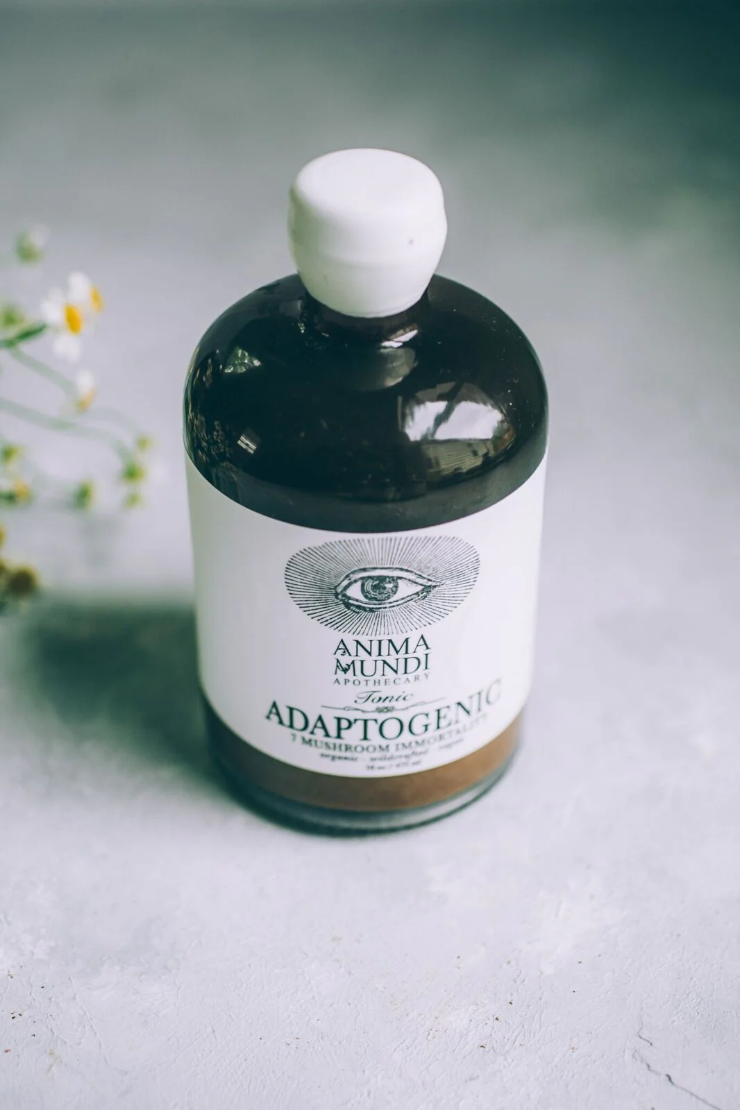 ADAPTOGENIC Tonic | 7 Mushroom + Camu Camu - Image 8