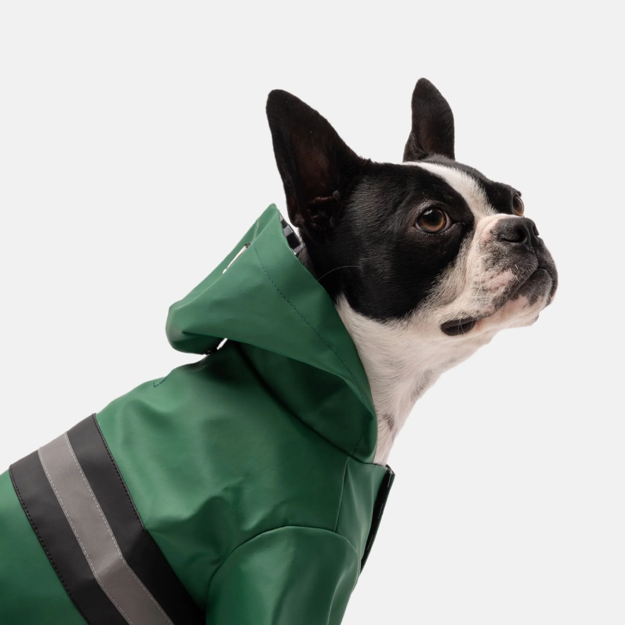 Aden Dog Raincoat - Image 2
