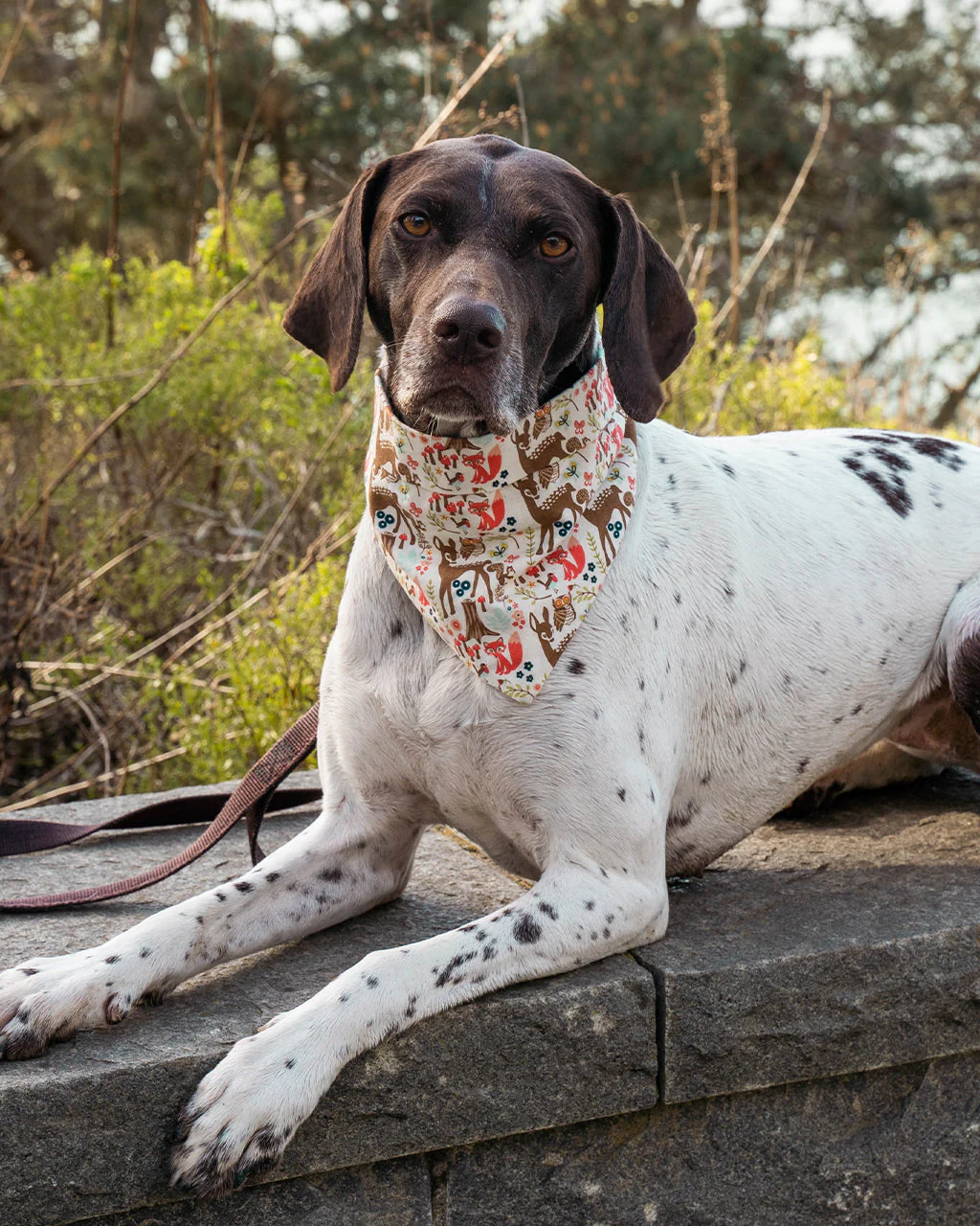 ADVENTURE BANDANA by MODERNBEAST - Image 2