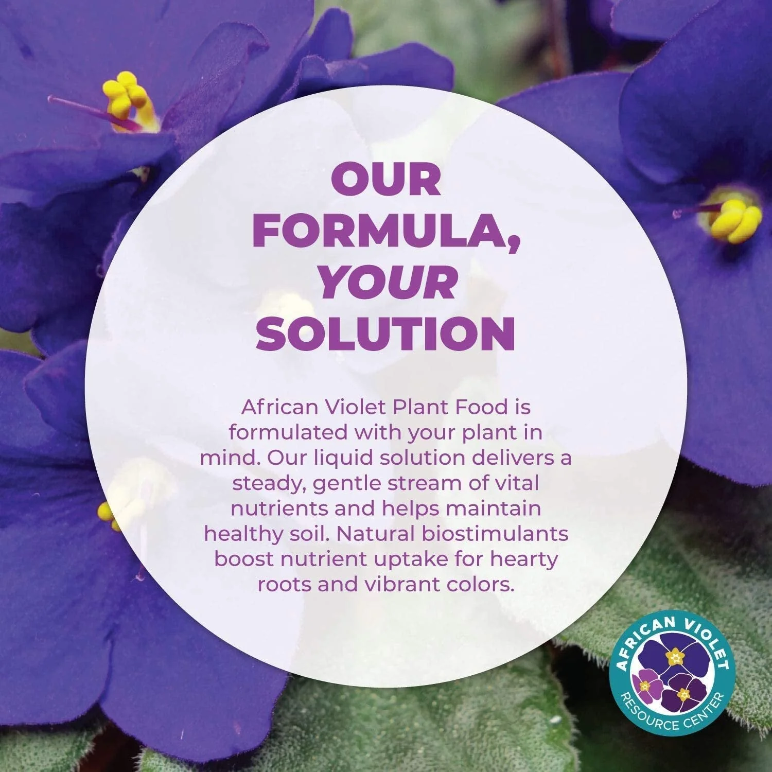 African Violet Plant Food by Houseplant Resource Center | Liquid Fertilizer for Vibrant Blooms & Healthy Growth, Easy-to-Use (8 Fluid Ounces) by Houseplant Resource Center - Image 3