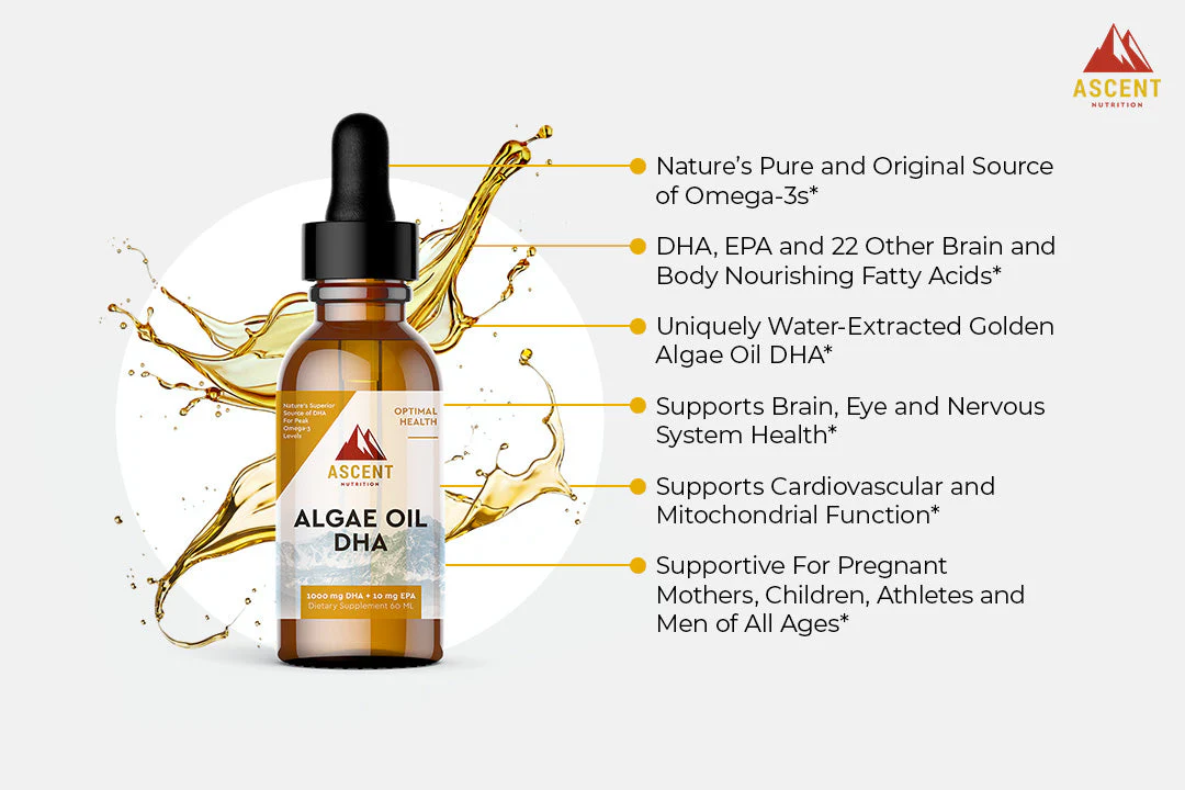 Algae Oil DHA by Ascent Nutrition - Image 4
