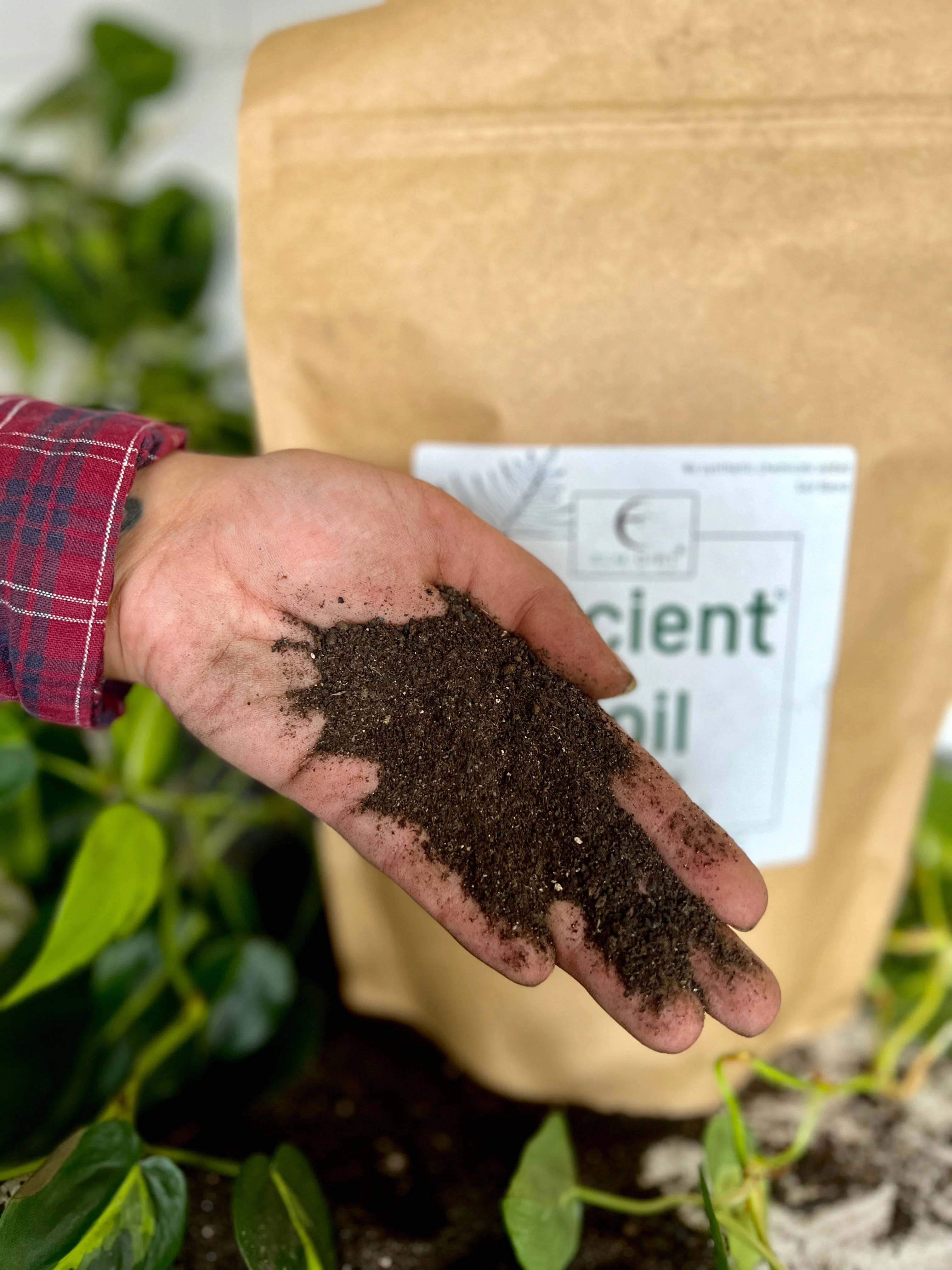 Ancient Soil by Elm Dirt - Image 4
