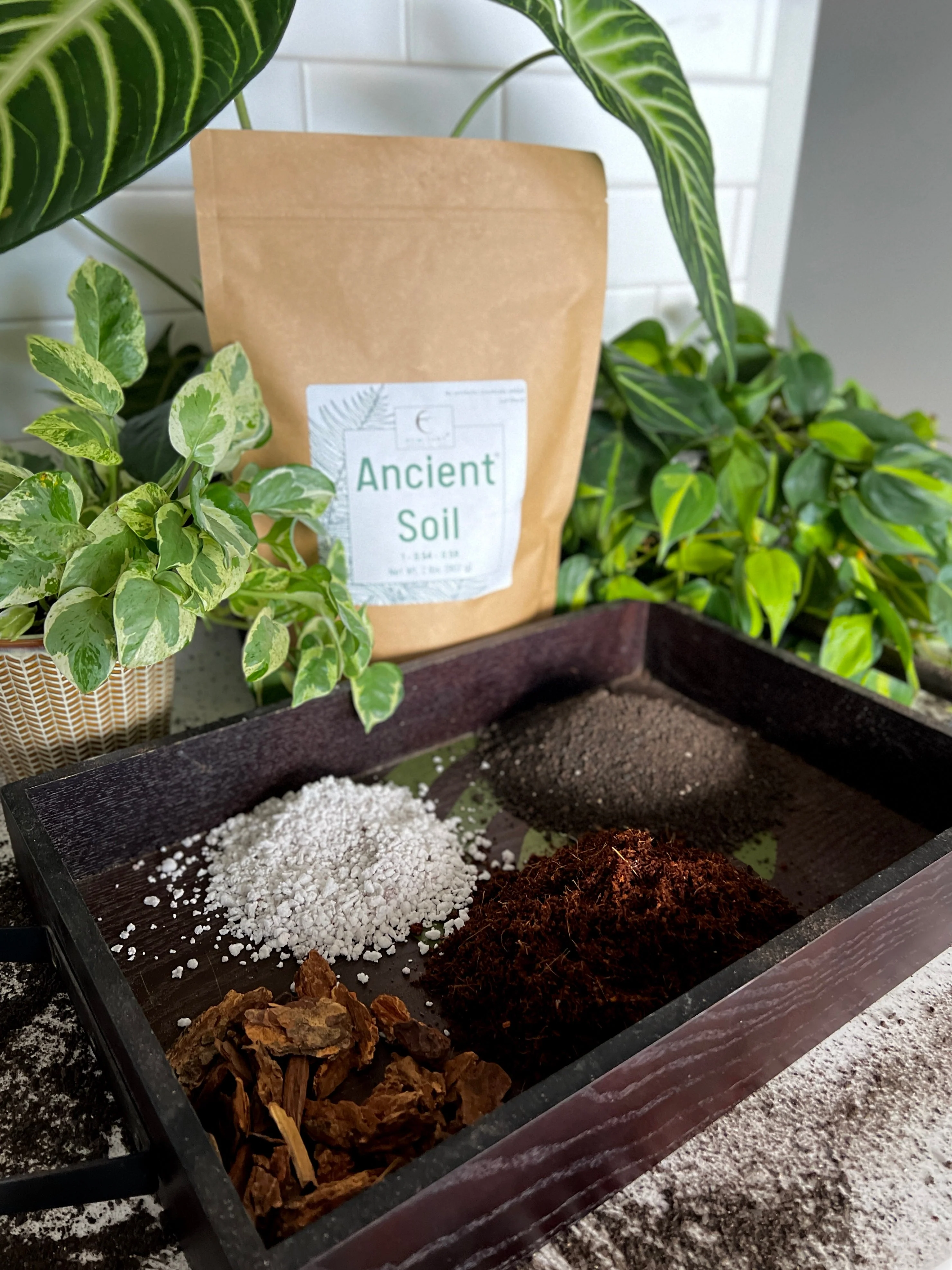 Ancient Soil by Elm Dirt - Image 6