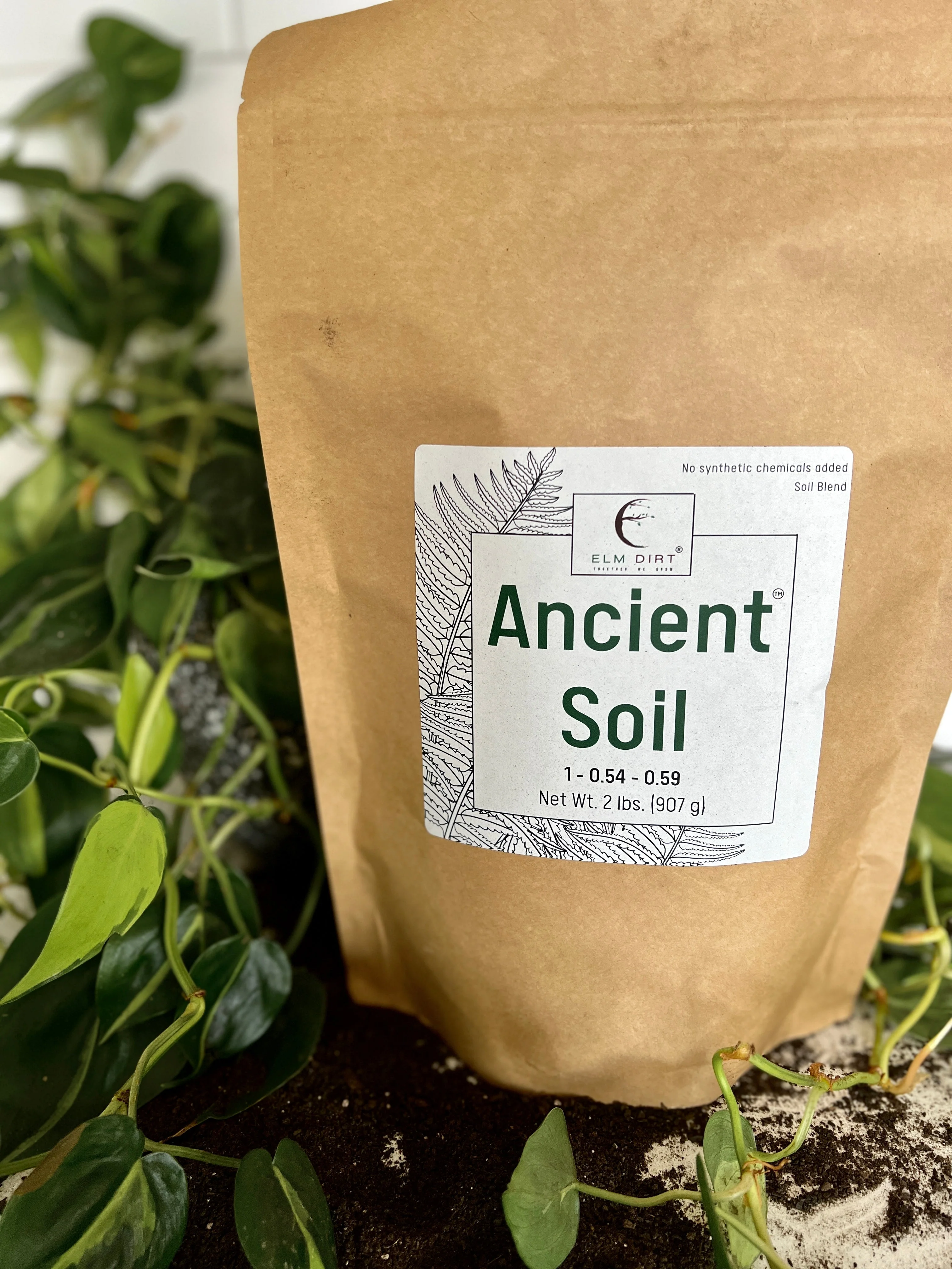 Ancient Soil by Elm Dirt - Image 7