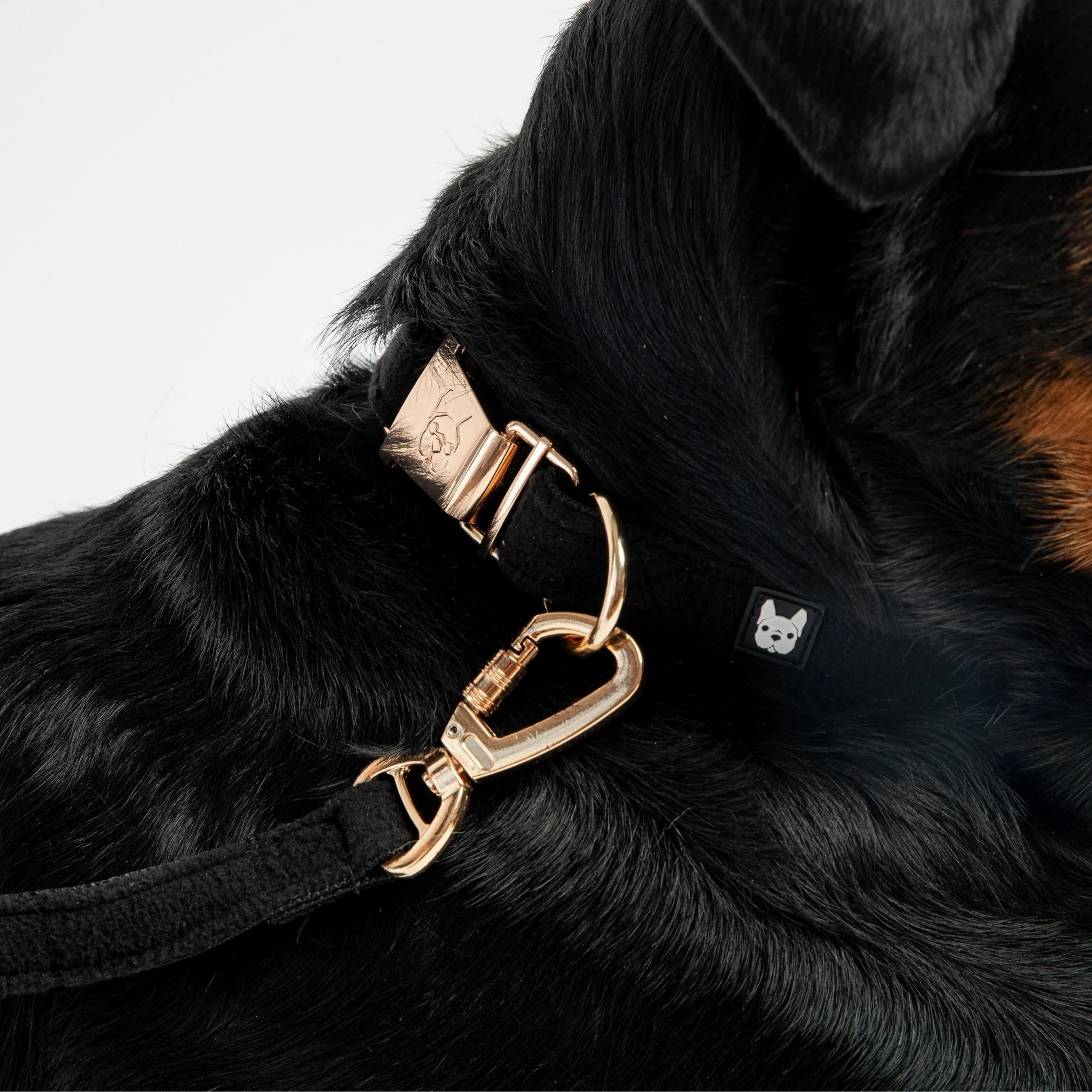 Aquafleece Dog Collar - Black - Image 3