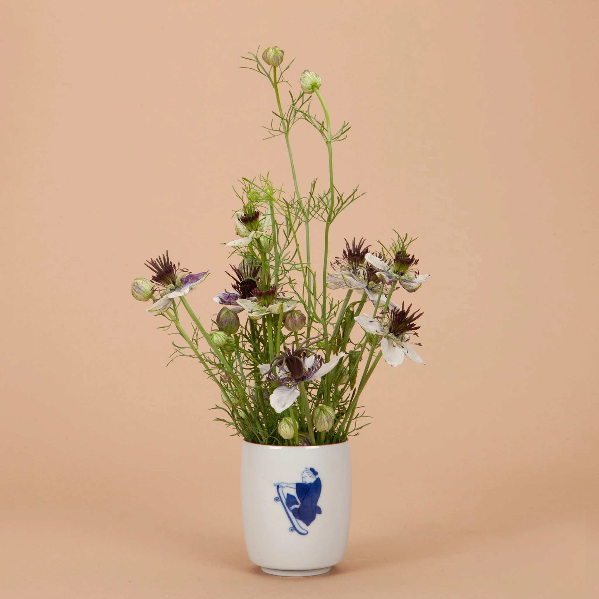 Aries Seed Bundle - Image 7