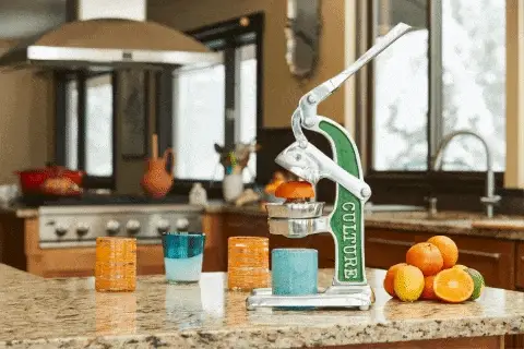 Artisan Citrus Juicer - Small by Verve Culture - Image 14
