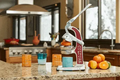 Artisan Citrus Juicer - Small by Verve Culture - Image 19