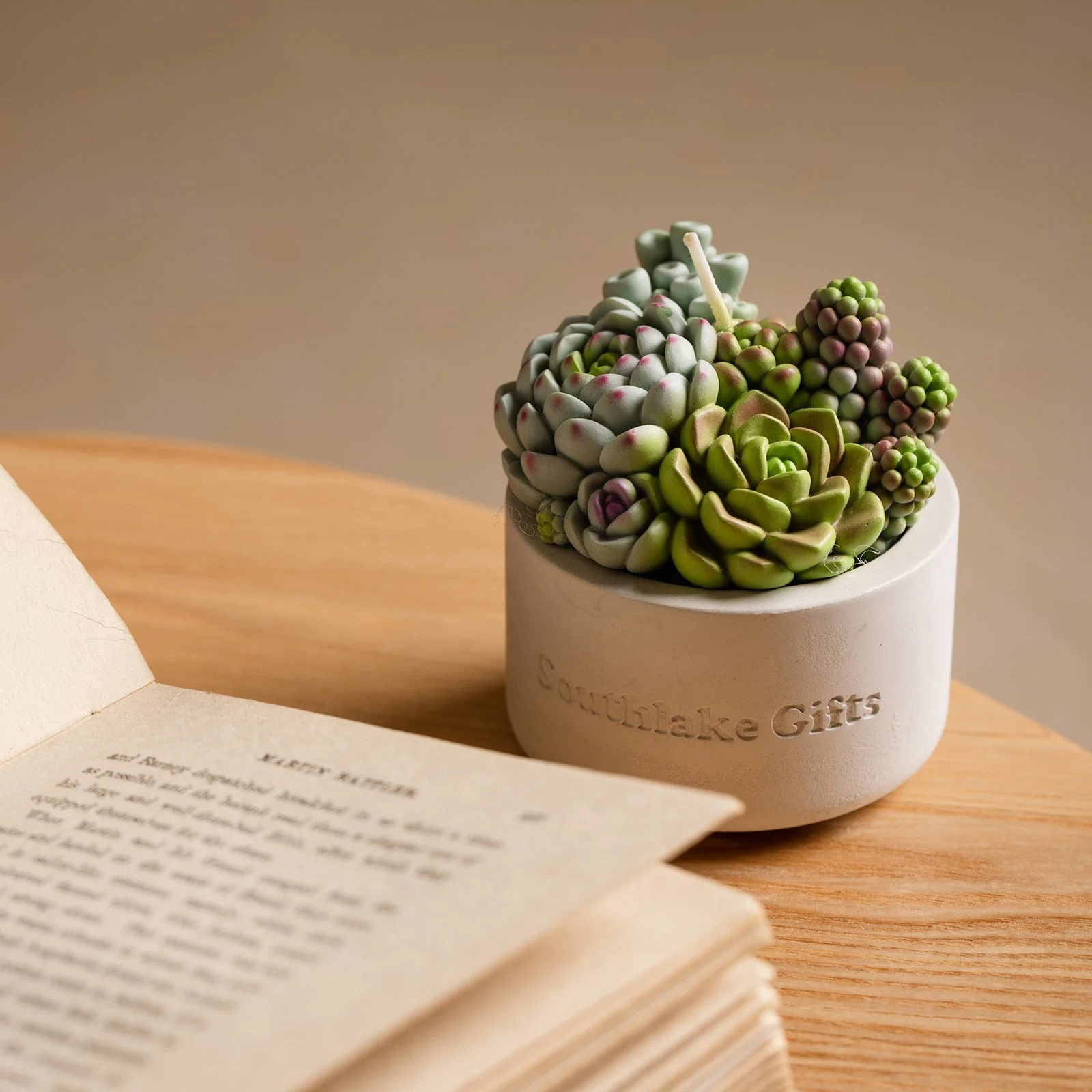 Assorted Succulent Candle with Concrete Vessel - Image 6