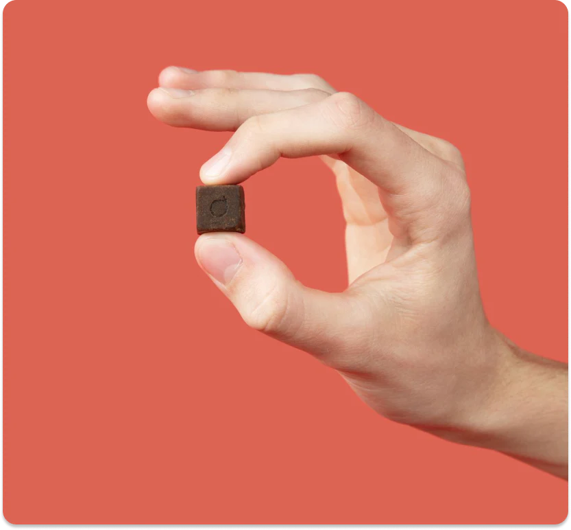 Attention Chews - Image 3