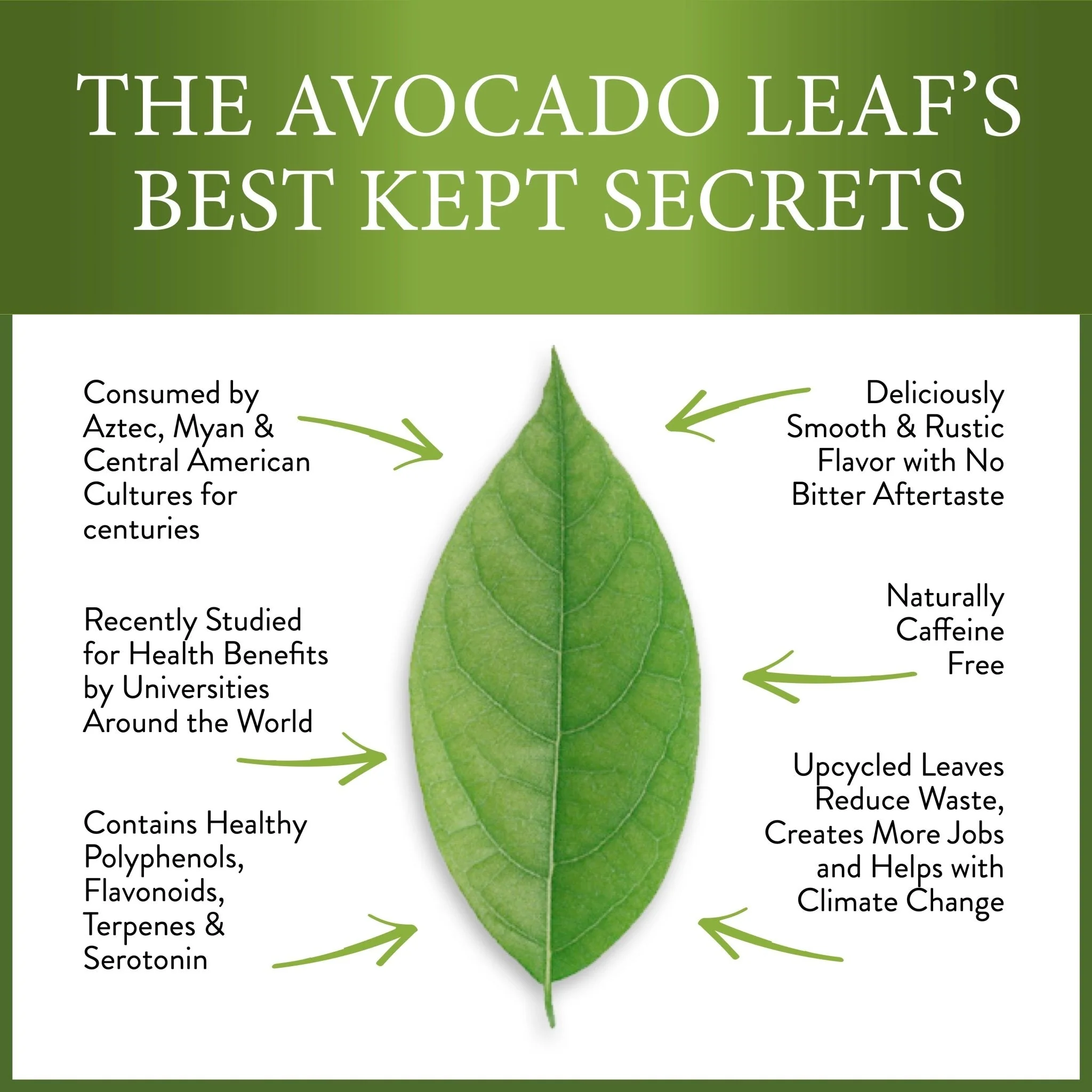 Avocado Tea Party With Five Blends by Avocado Tea Co. - Image 5