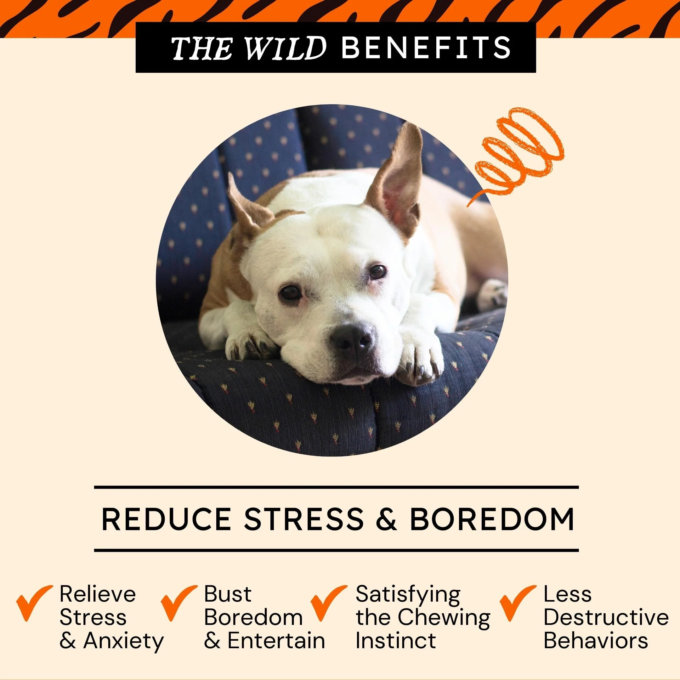 Backstrap Tendon Hard Jerky Strips for Dogs - Image 7