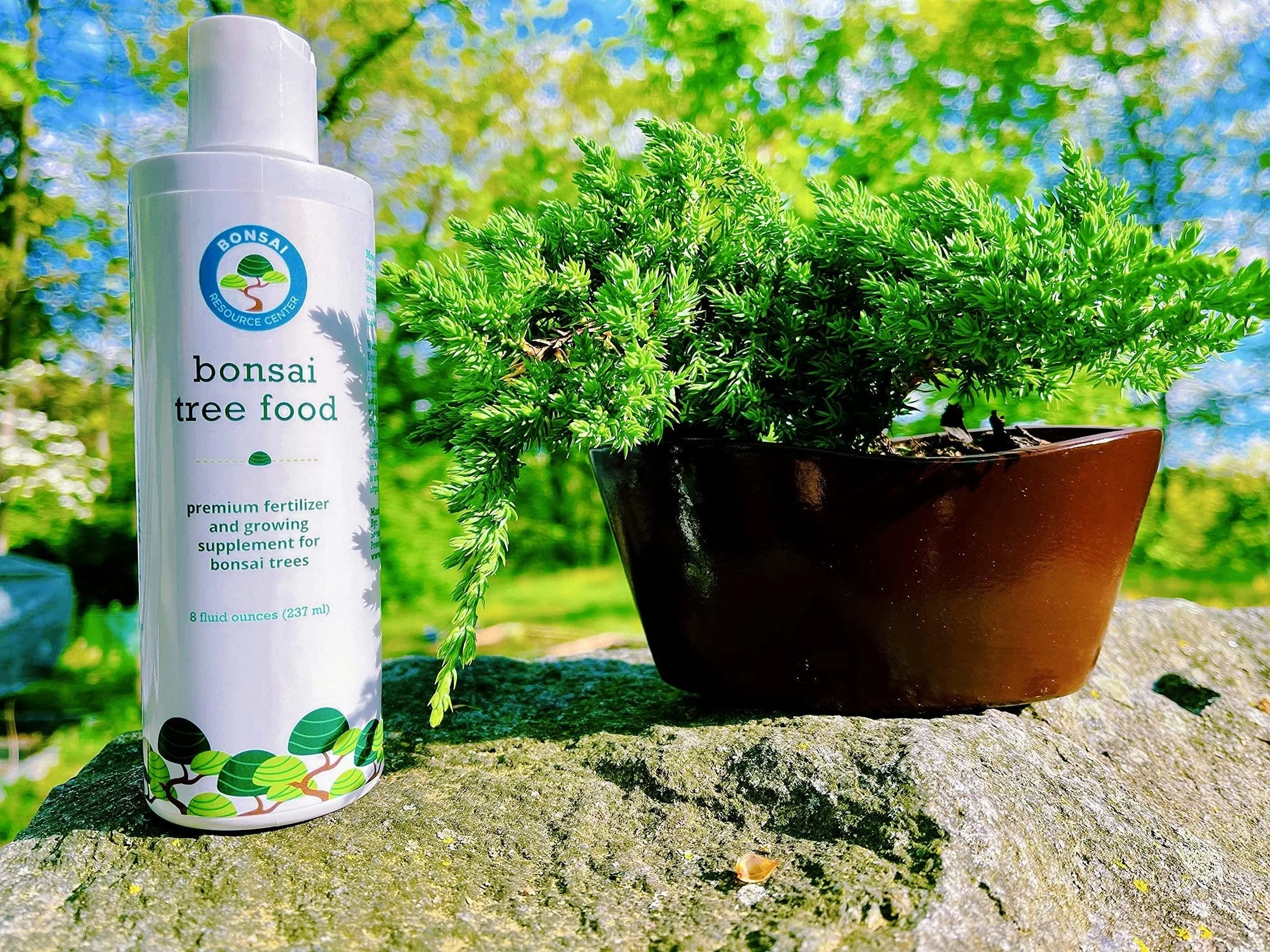 Bonsai Tree Food | Premium, Gentle Liquid Fertilizer for Healthy Growth, Strong Stems and Beautiful Blooms | 3-3-3 Balanced NPK Concentrate | 8 oz (240 ml) by Houseplant Resource Center - Image 7