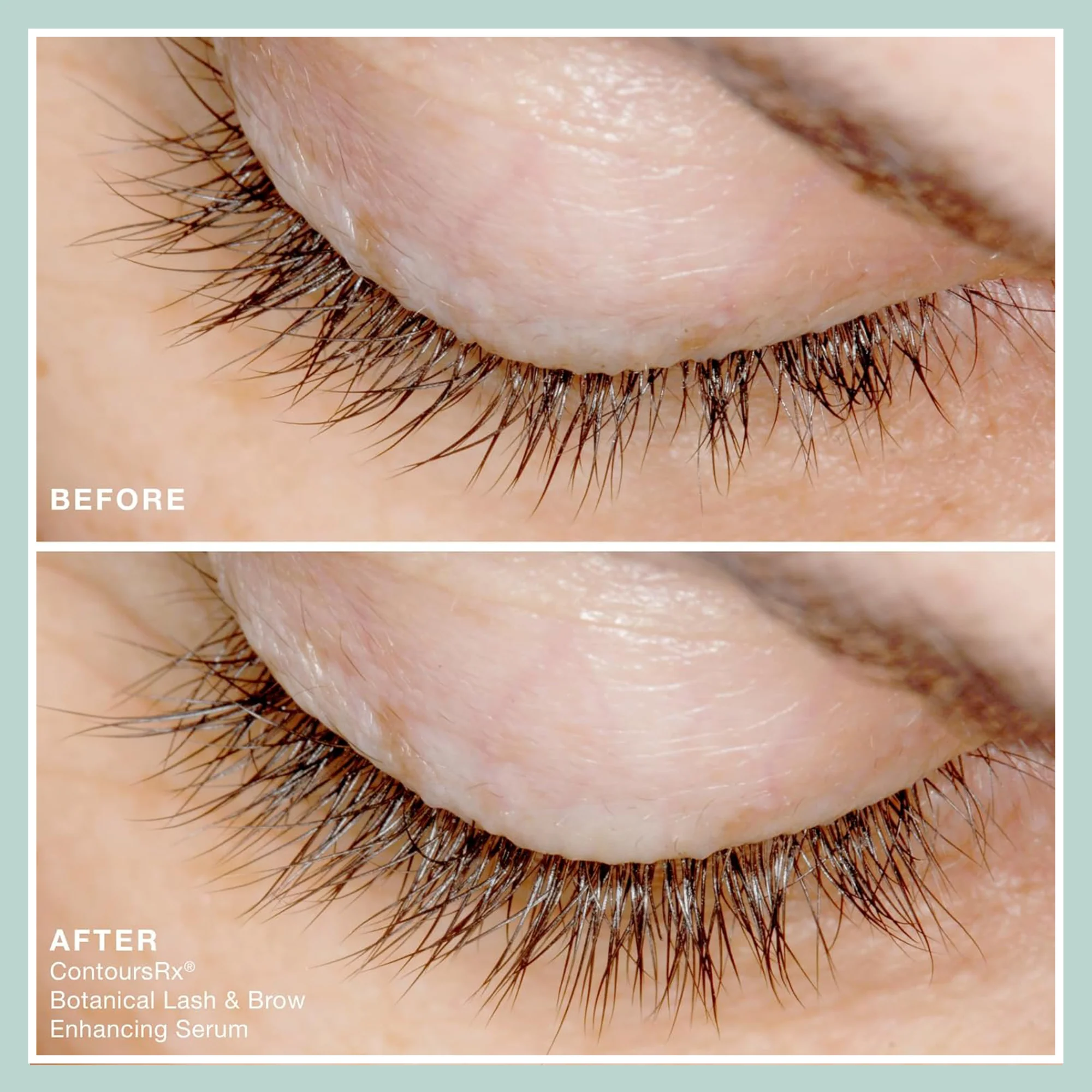 Botanical Lash & Brow - Image 2