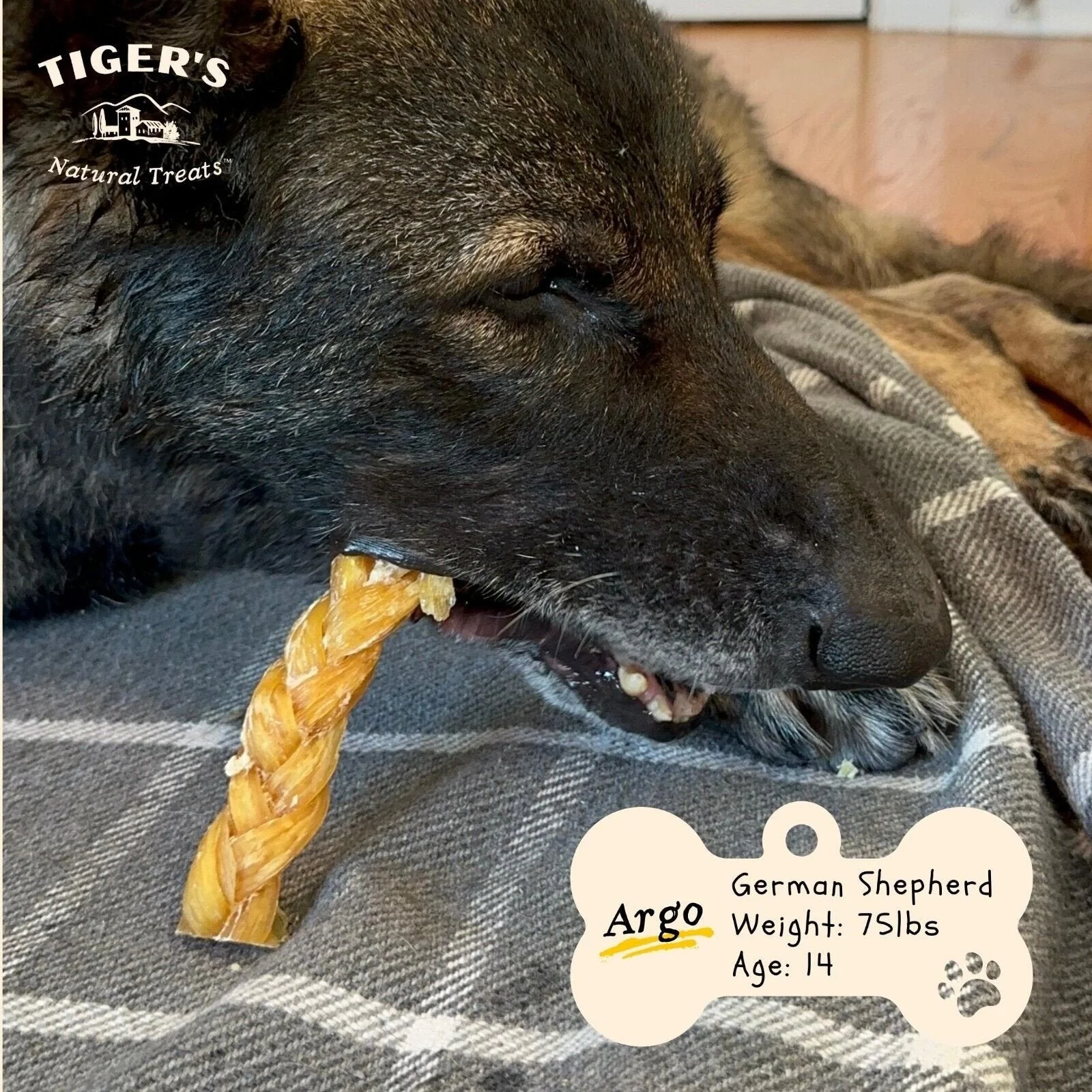 Braided Backstrap Tendon Sticks for Dogs - Image 5