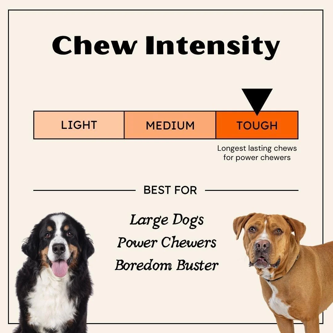 Braided Backstrap Tendon Sticks for Dogs - Image 6