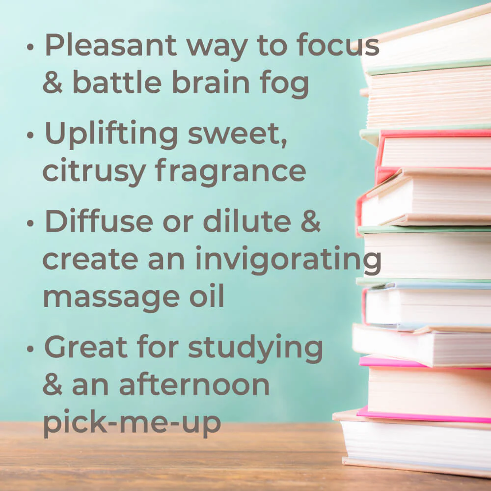 Brain Aid Essential Oil Blend - Image 2