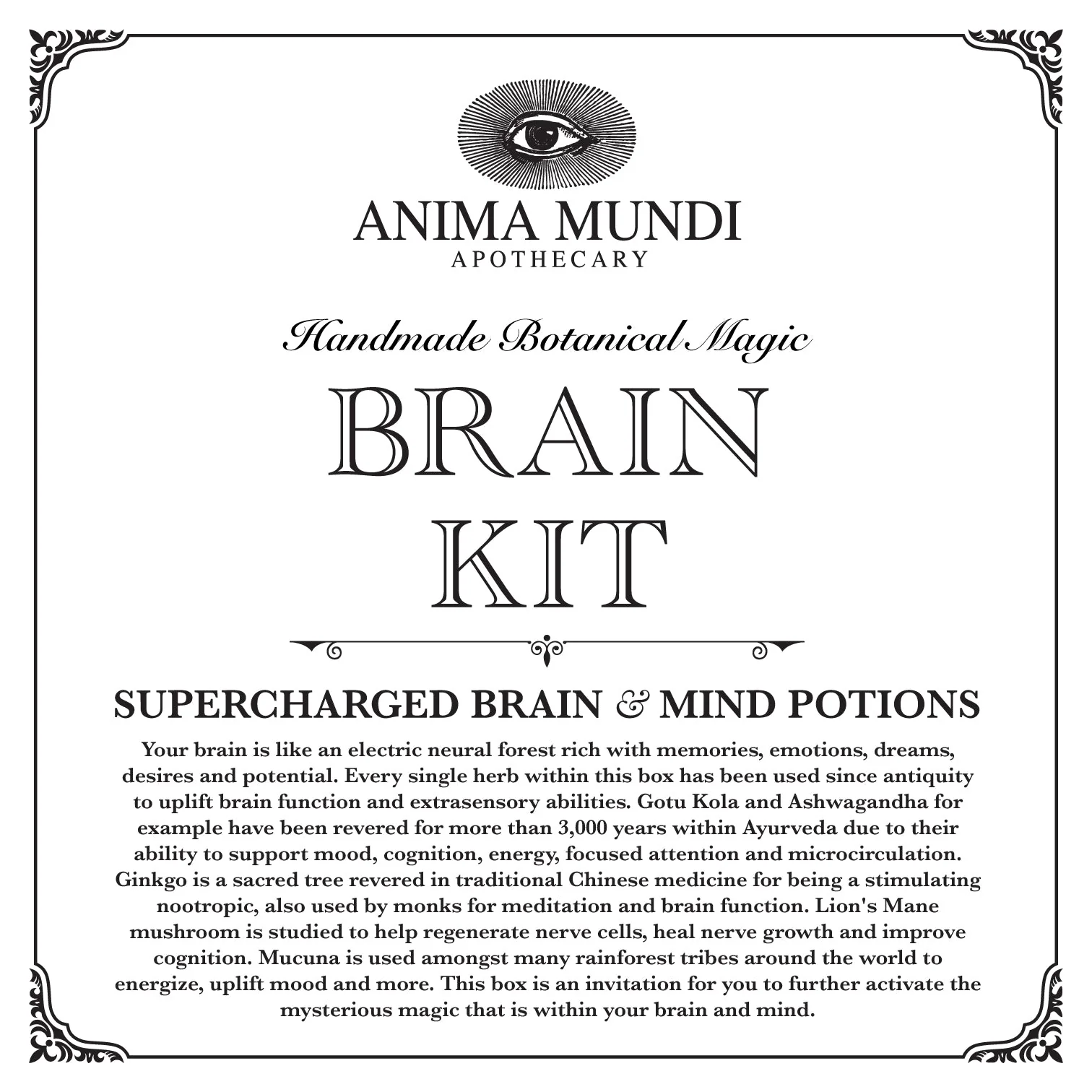 BRAIN KIT | Adaptogenic Nootropics - Image 4