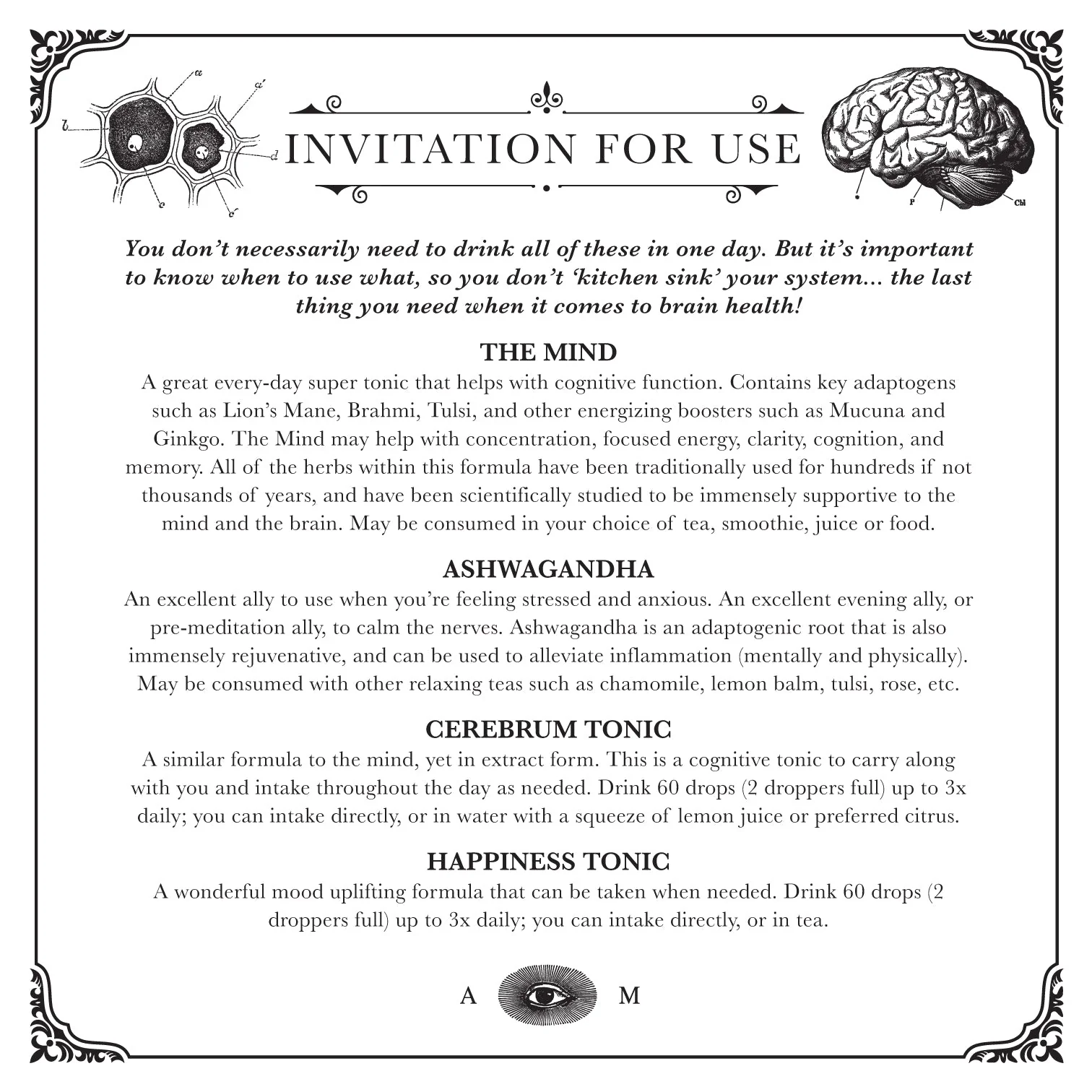 BRAIN KIT | Adaptogenic Nootropics - Image 5