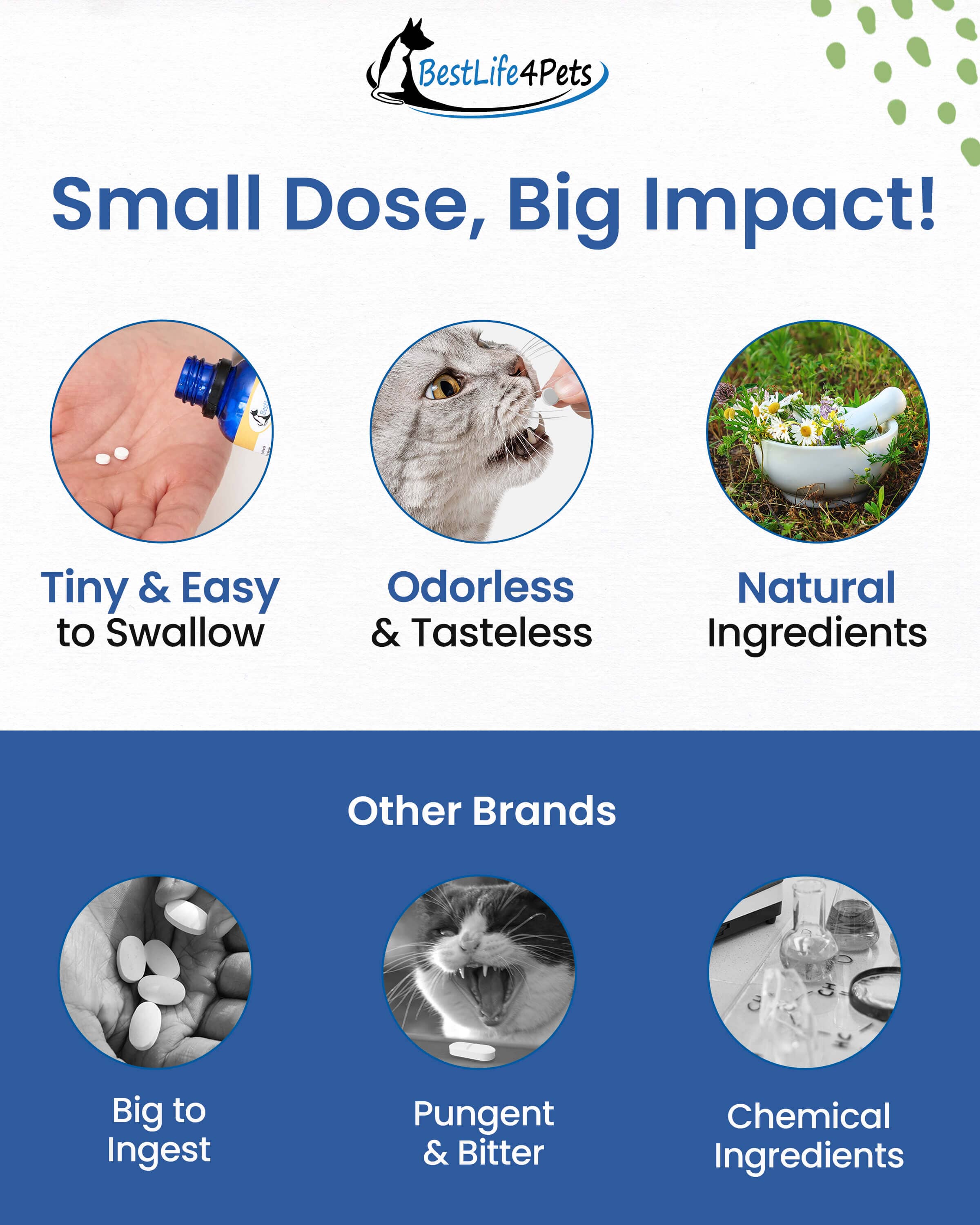 Breathe Easy for Cats - Respiratory Support for Asthma, Cat Cold and Sneezing by BestLife4Pets - Image 4