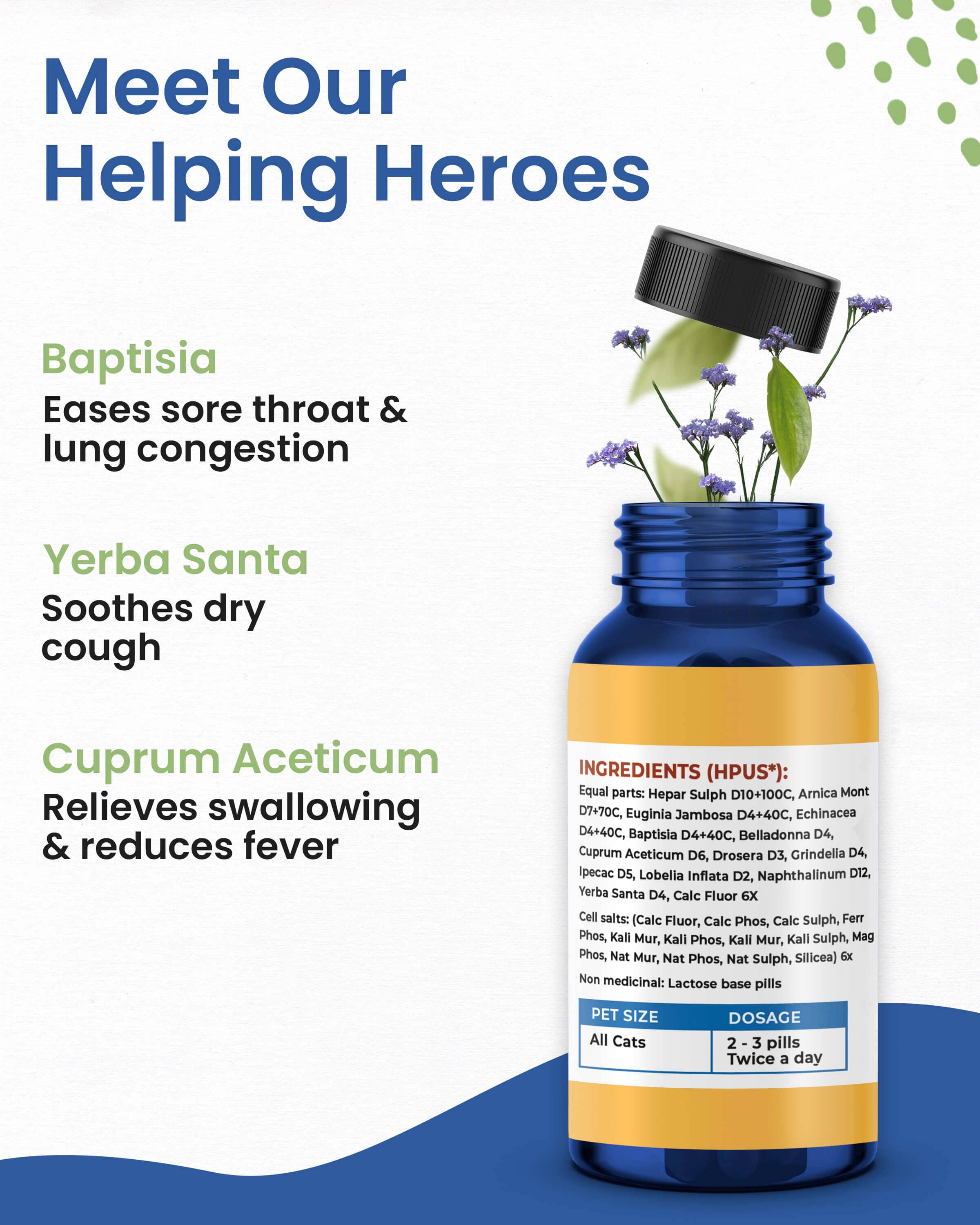 Breathe Easy for Cats - Respiratory Support for Asthma, Cat Cold and Sneezing by BestLife4Pets - Image 5