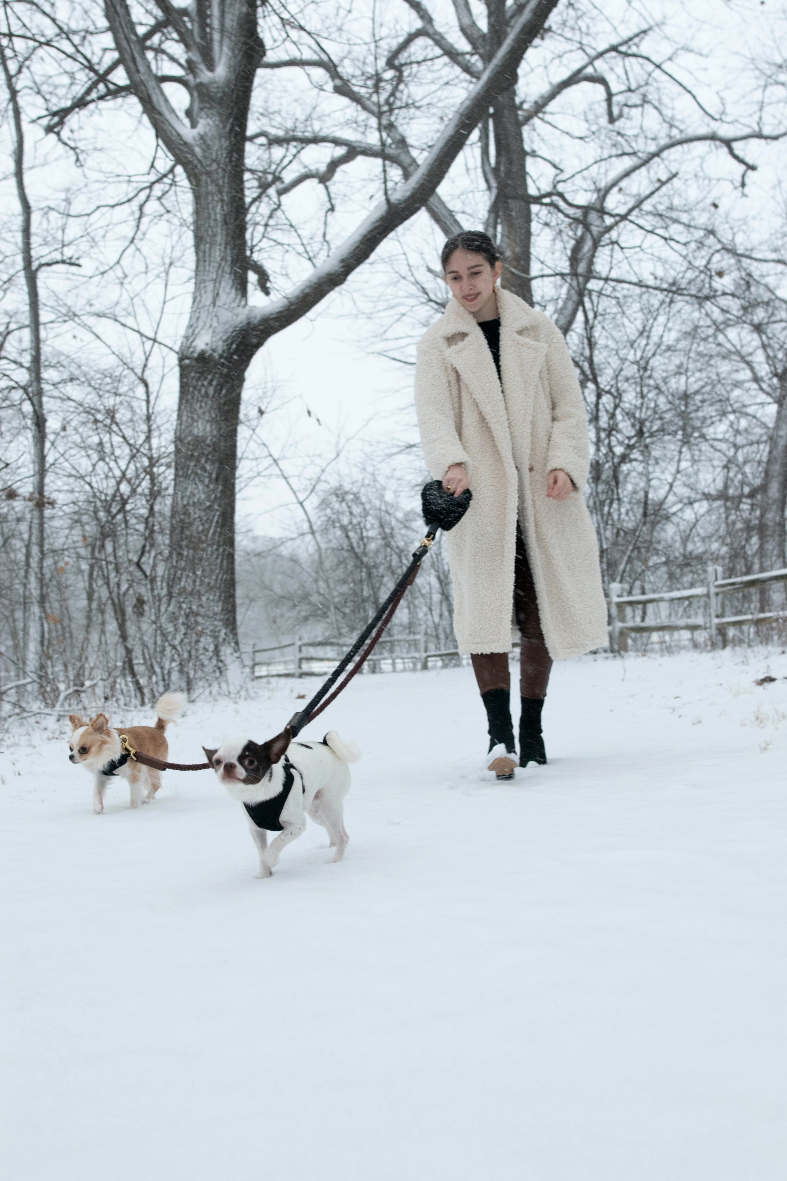 Bundle Shearling Fur Grip + Rope Leash for Dogs - Image 10