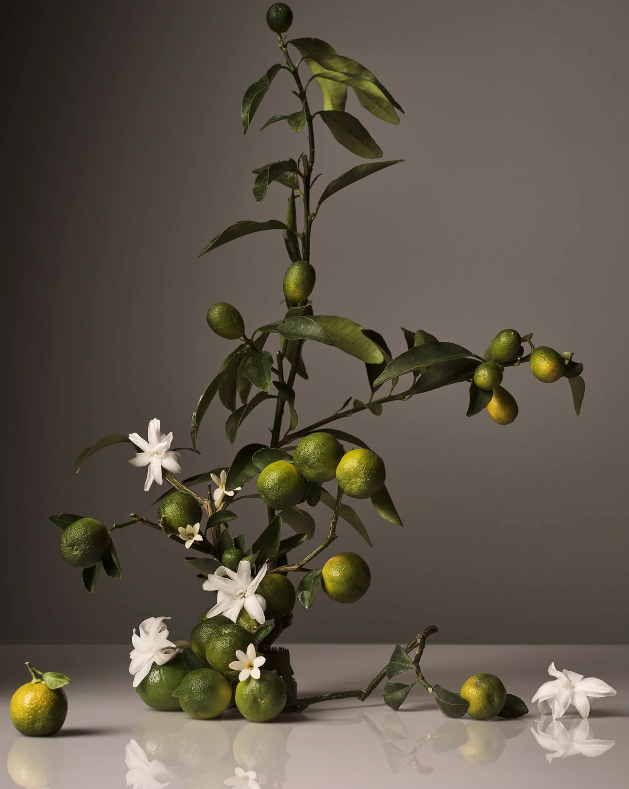 Candle - Image 6
