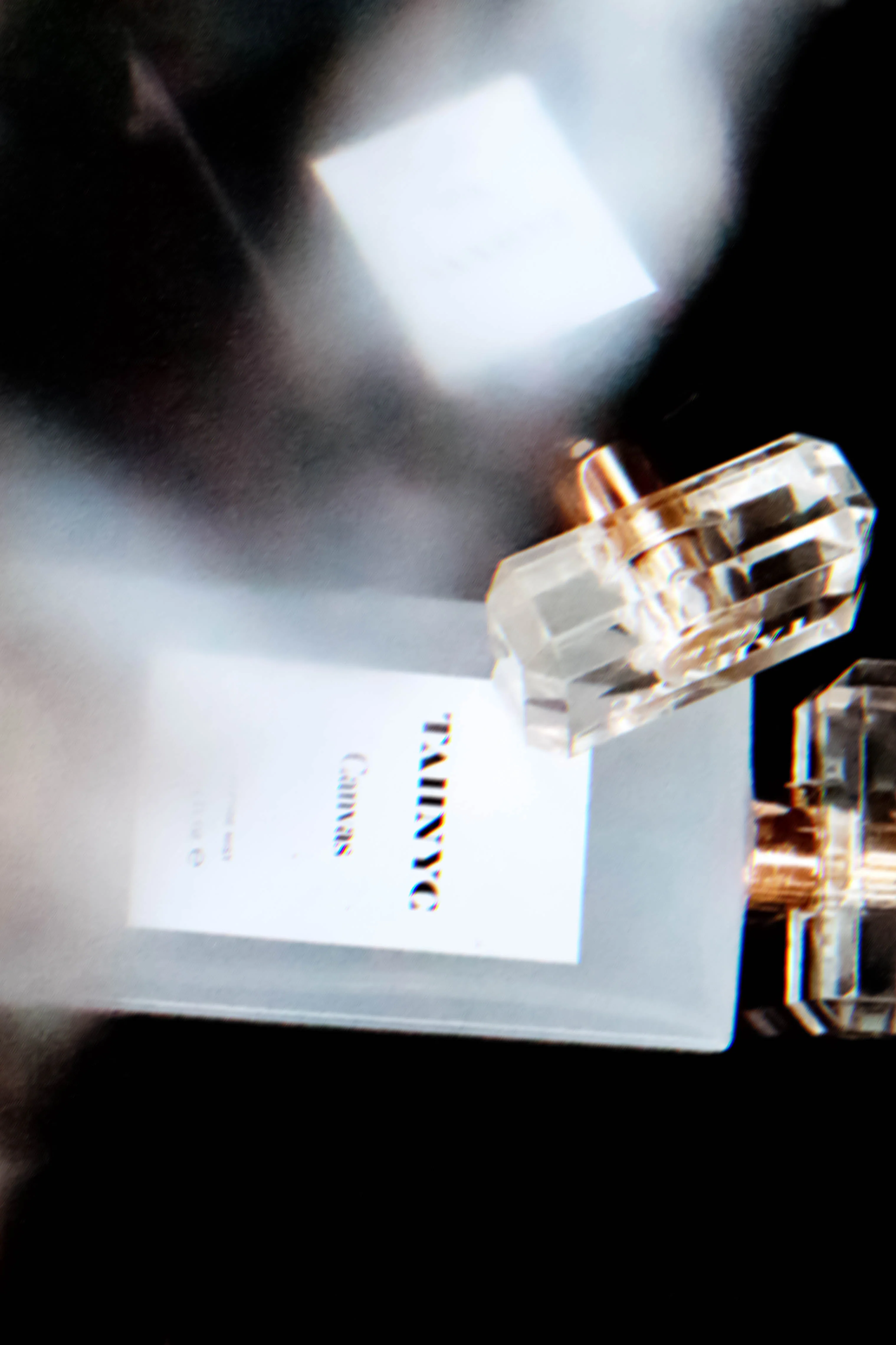 Canvas - Image 4