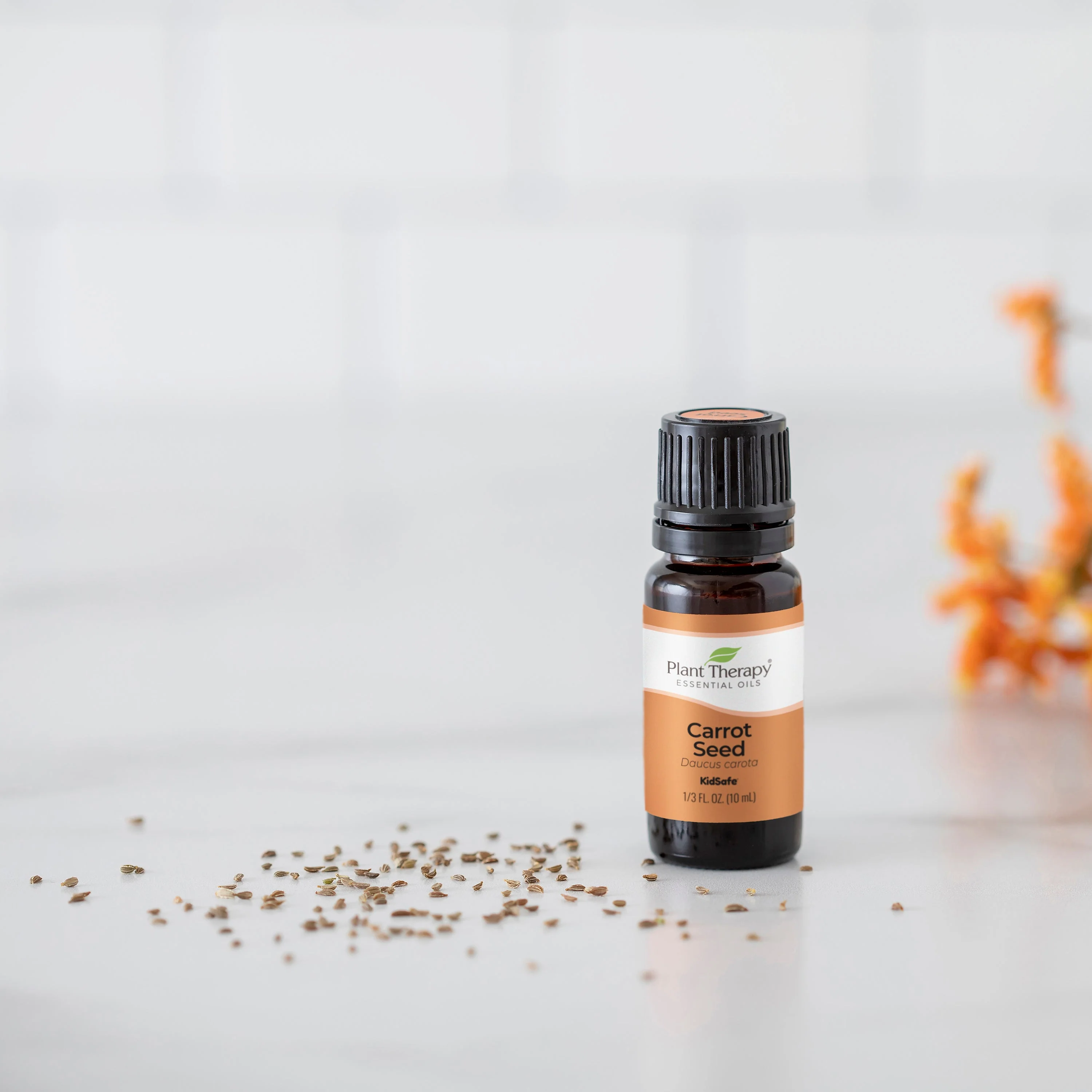 Carrot Seed Essential Oil - Image 2