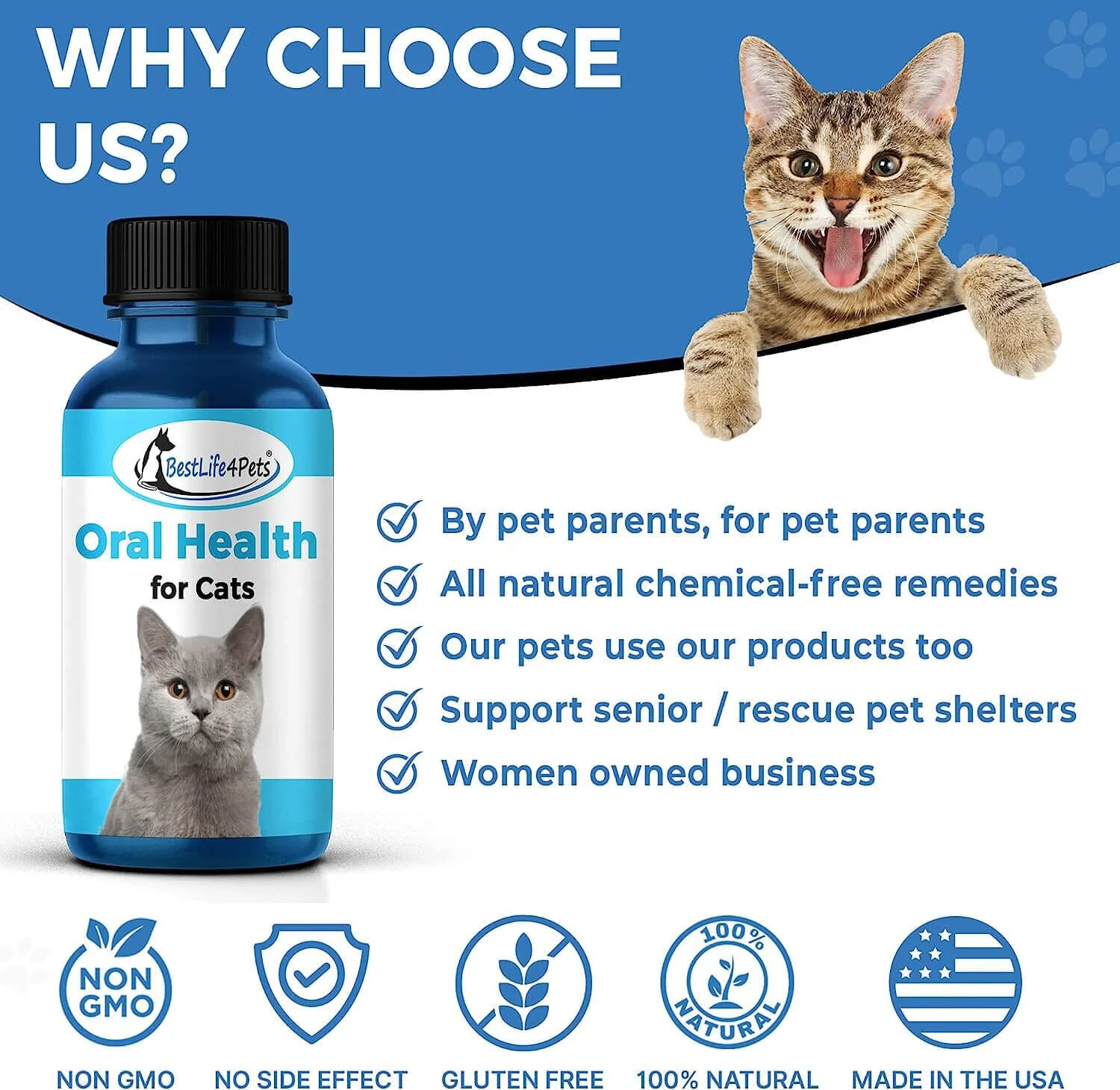 Cat Dental Care and Bad Breath Remedy - Natural Solution for Better Feline Oral Health by BestLife4Pets - Image 7