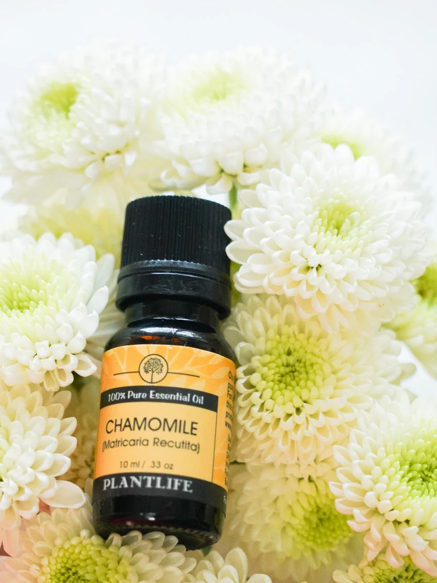 Chamomile Essential Oil - Image 3