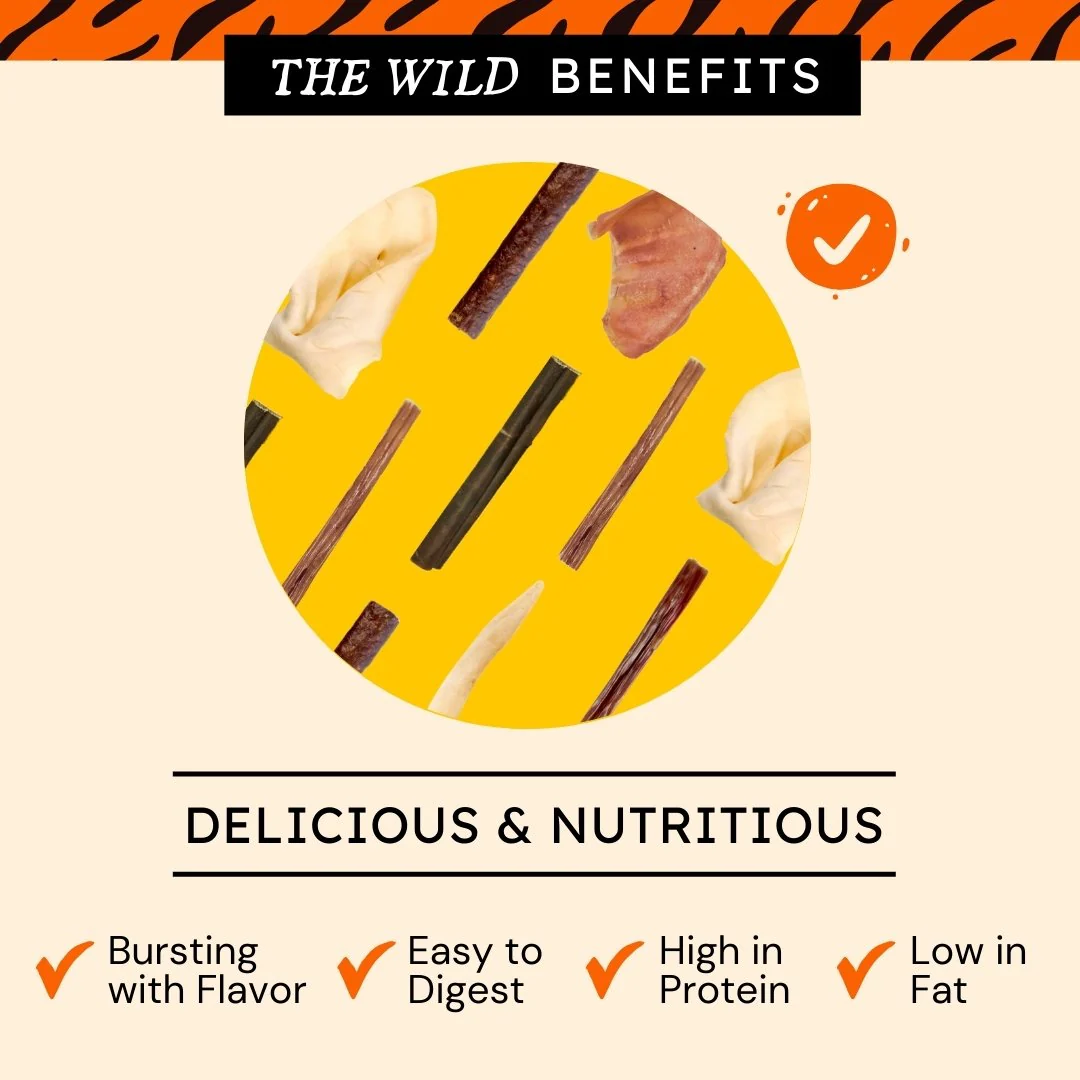 Chicken Jerky for Dogs - Image 7