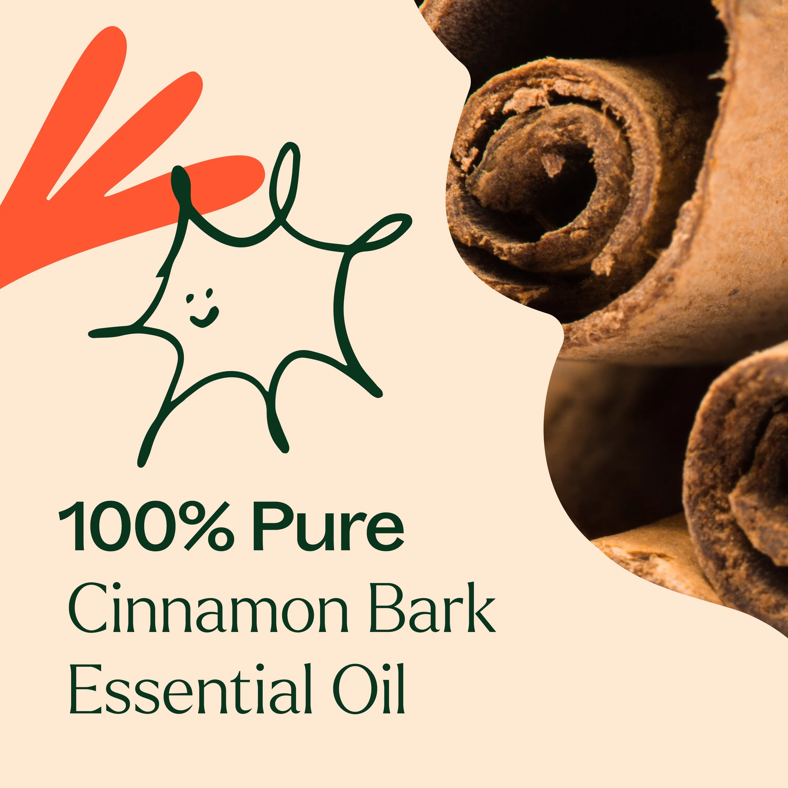 Cinnamon Bark Essential Oil - Image 4