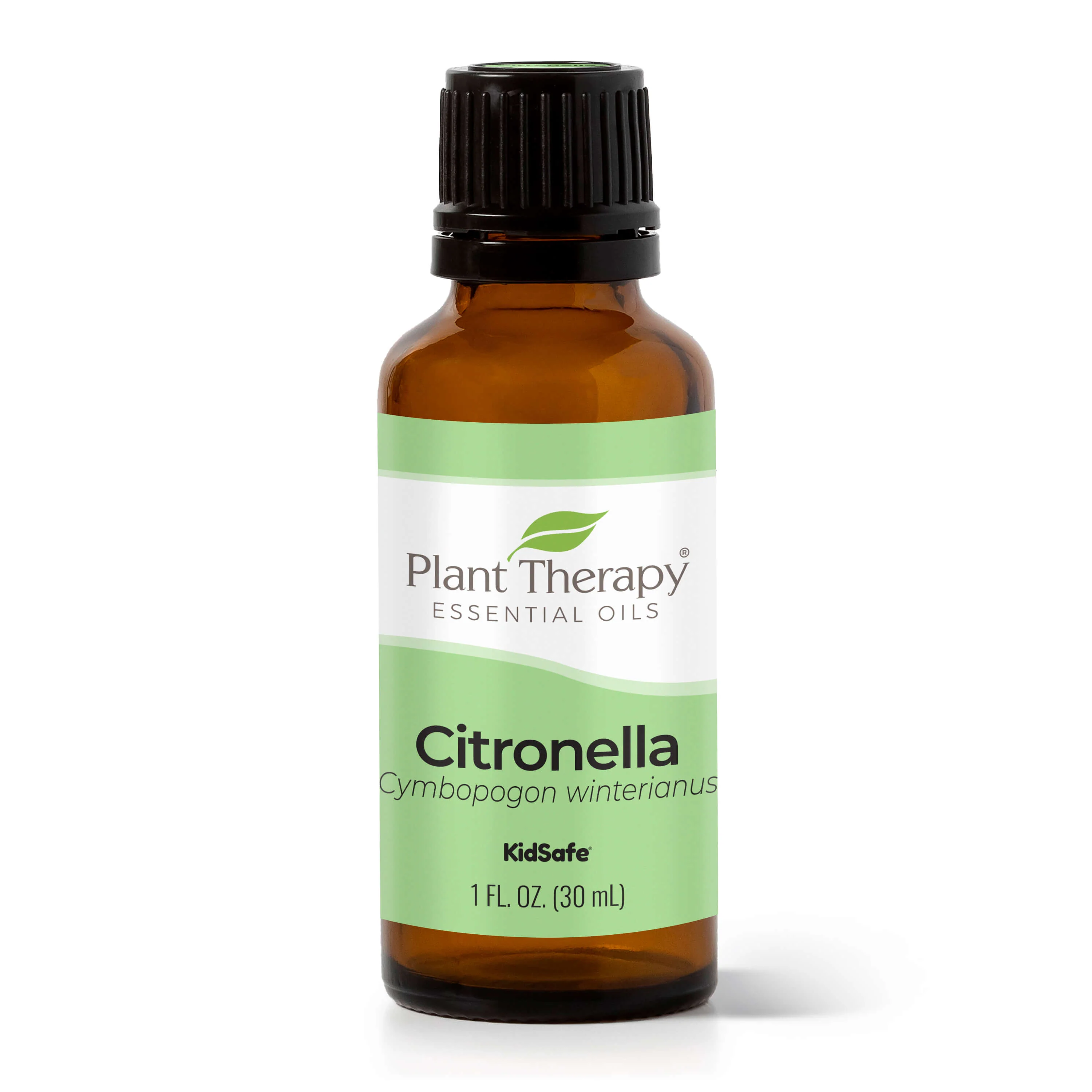 Citronella Essential Oil - Image 7