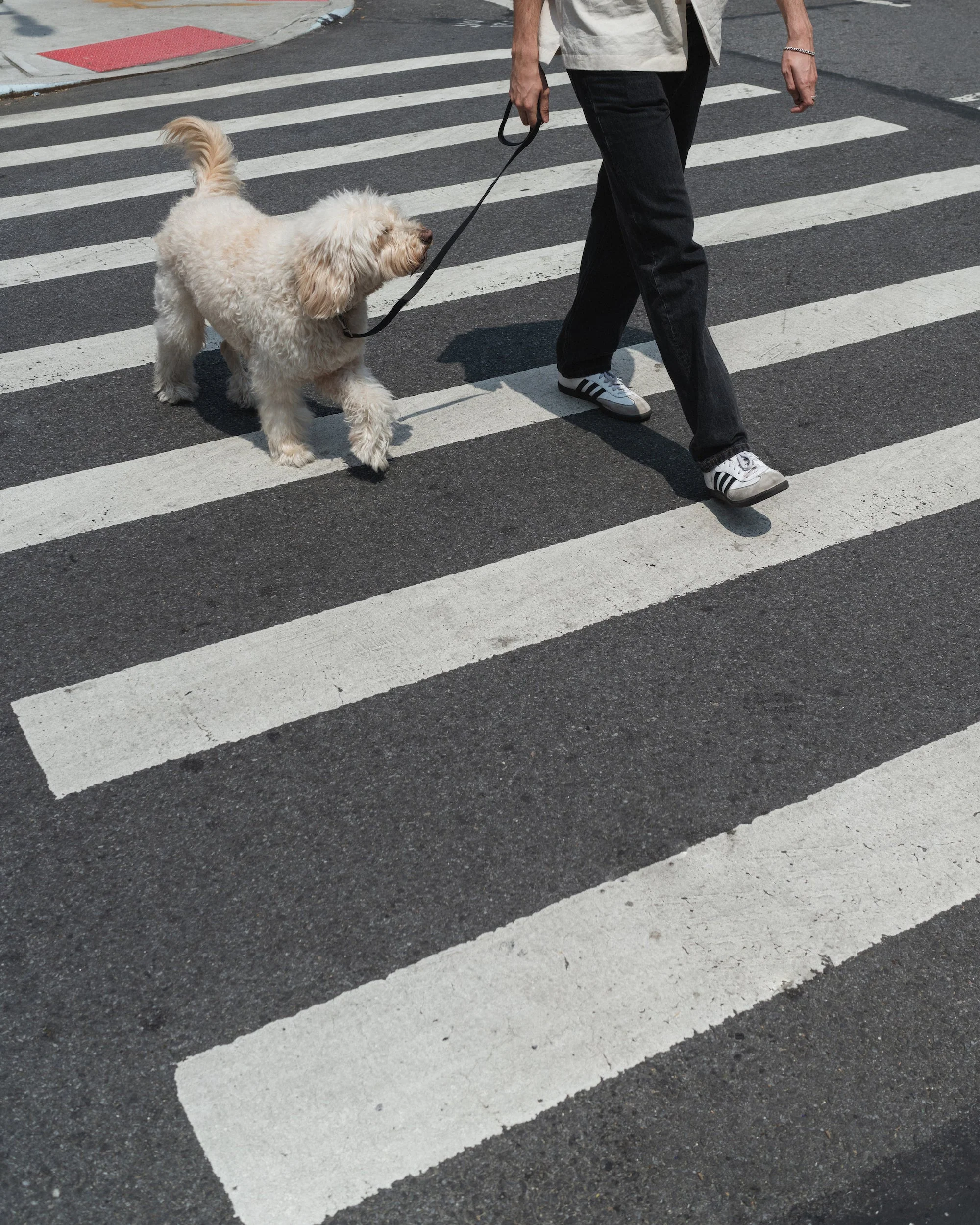 City Dog Leash - Image 4