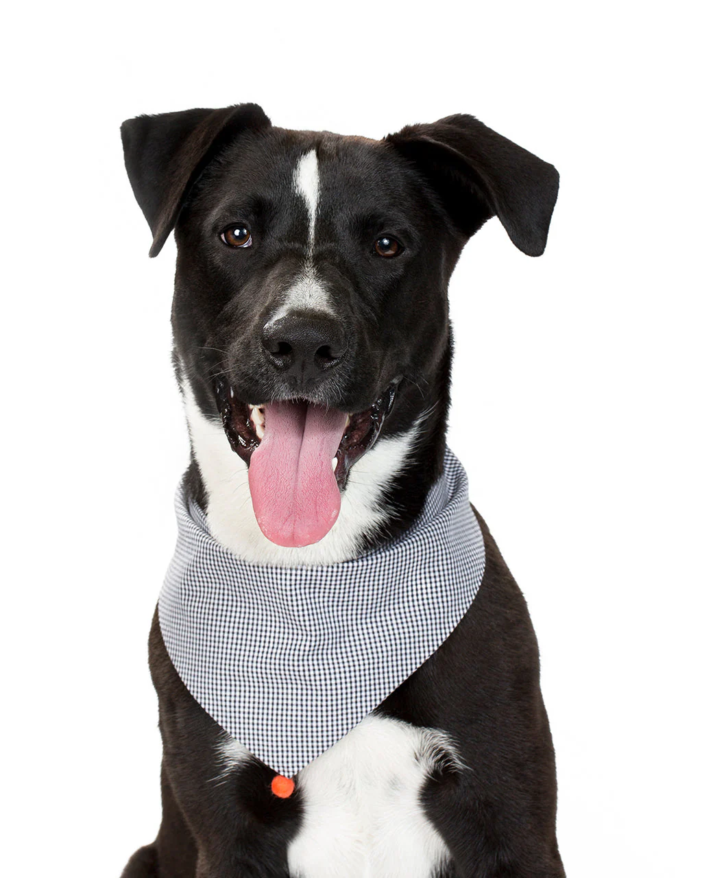 CLASSIC BANDANA by MODERNBEAST - Image 7