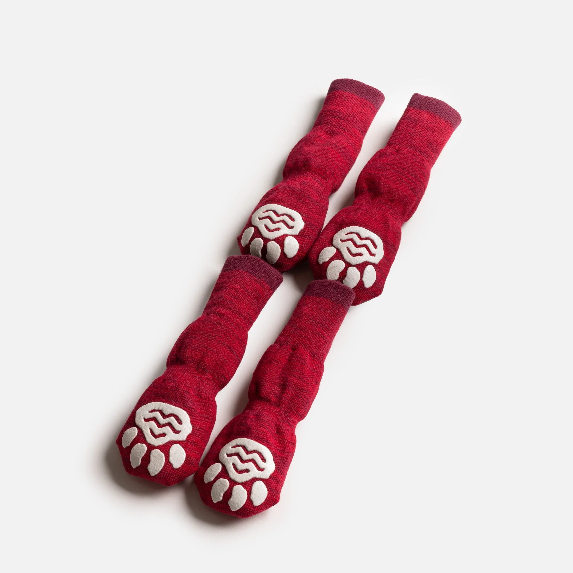 Compression Dog Socks - Red - Image 3