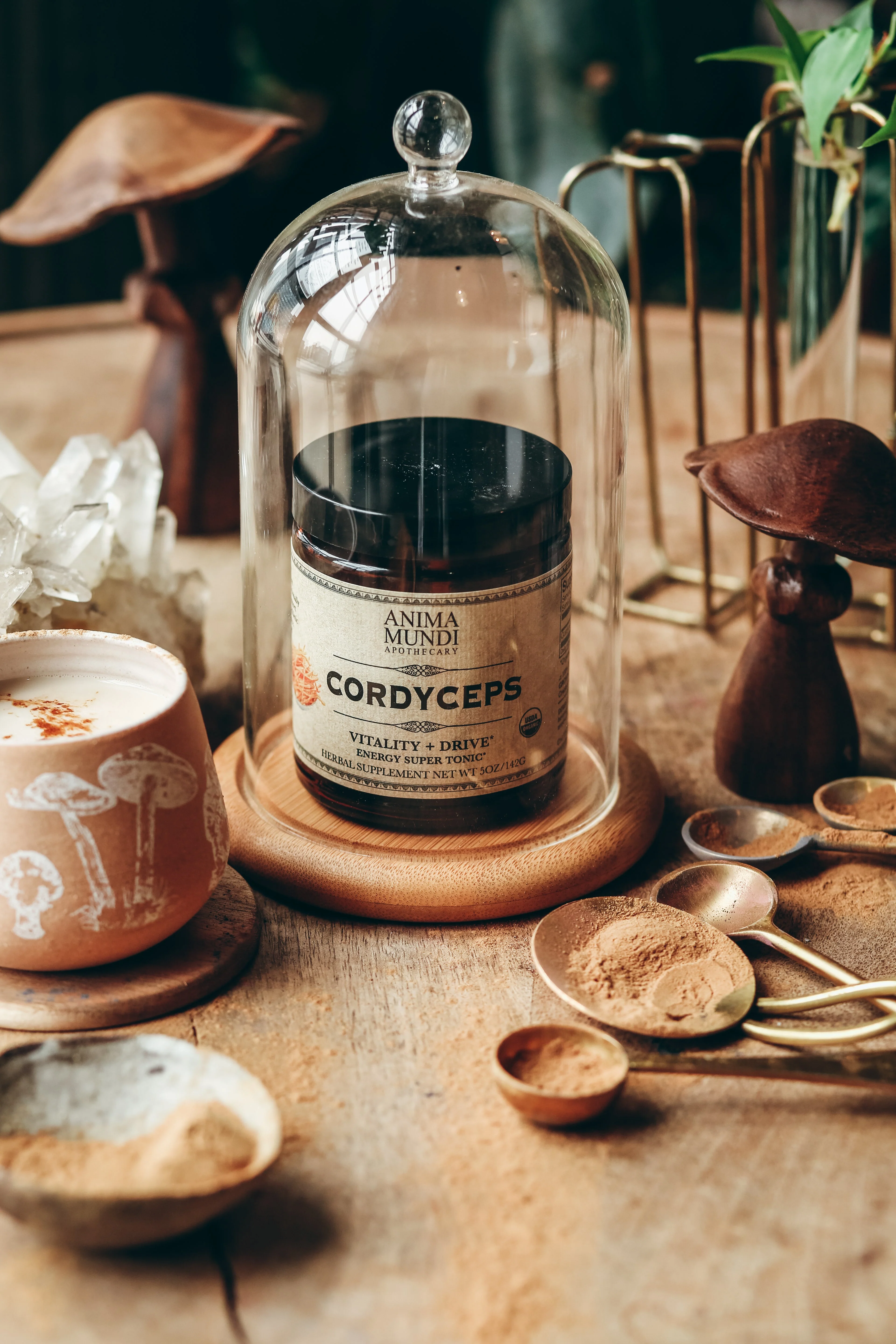 CORDYCEPS | Energy Super Tonic* - Image 4