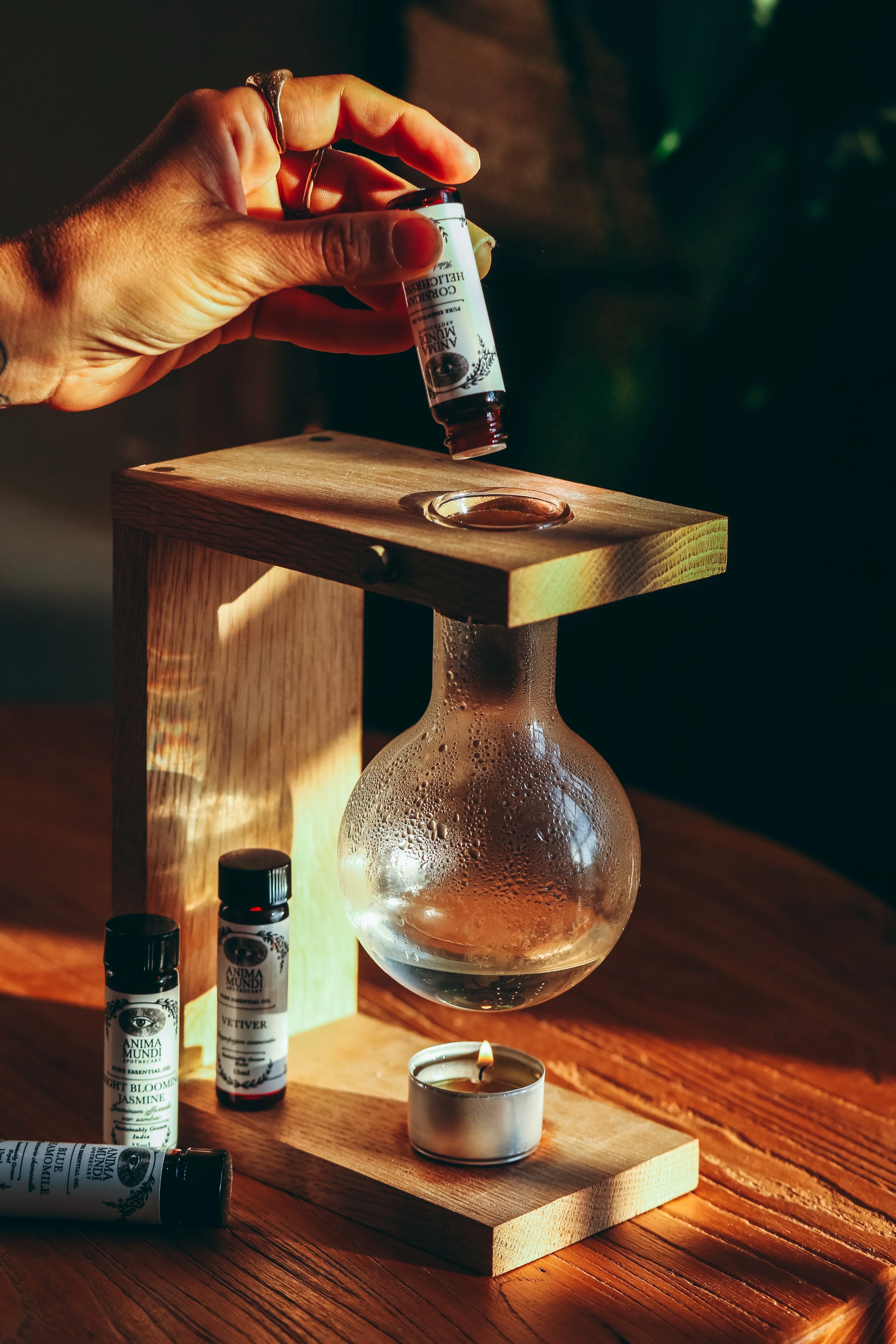 CORSICAN HELICHRYSUM Essential Oil | Sustainably Cultivated - Image 3