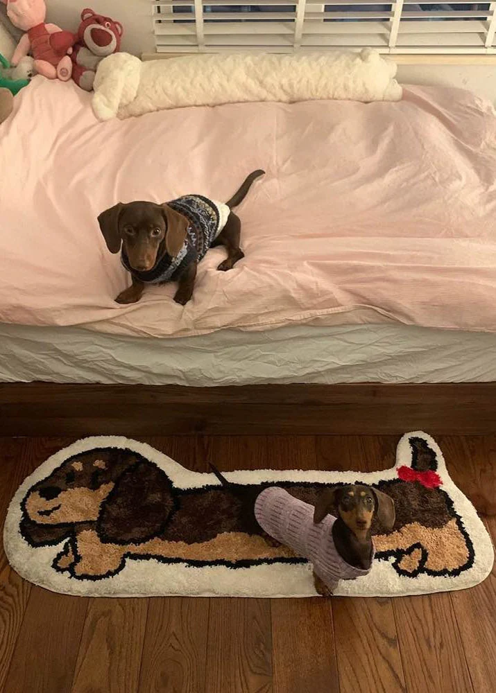 Cute Whimsical Ultra Soft Dachshunt Runner Rug - Image 6
