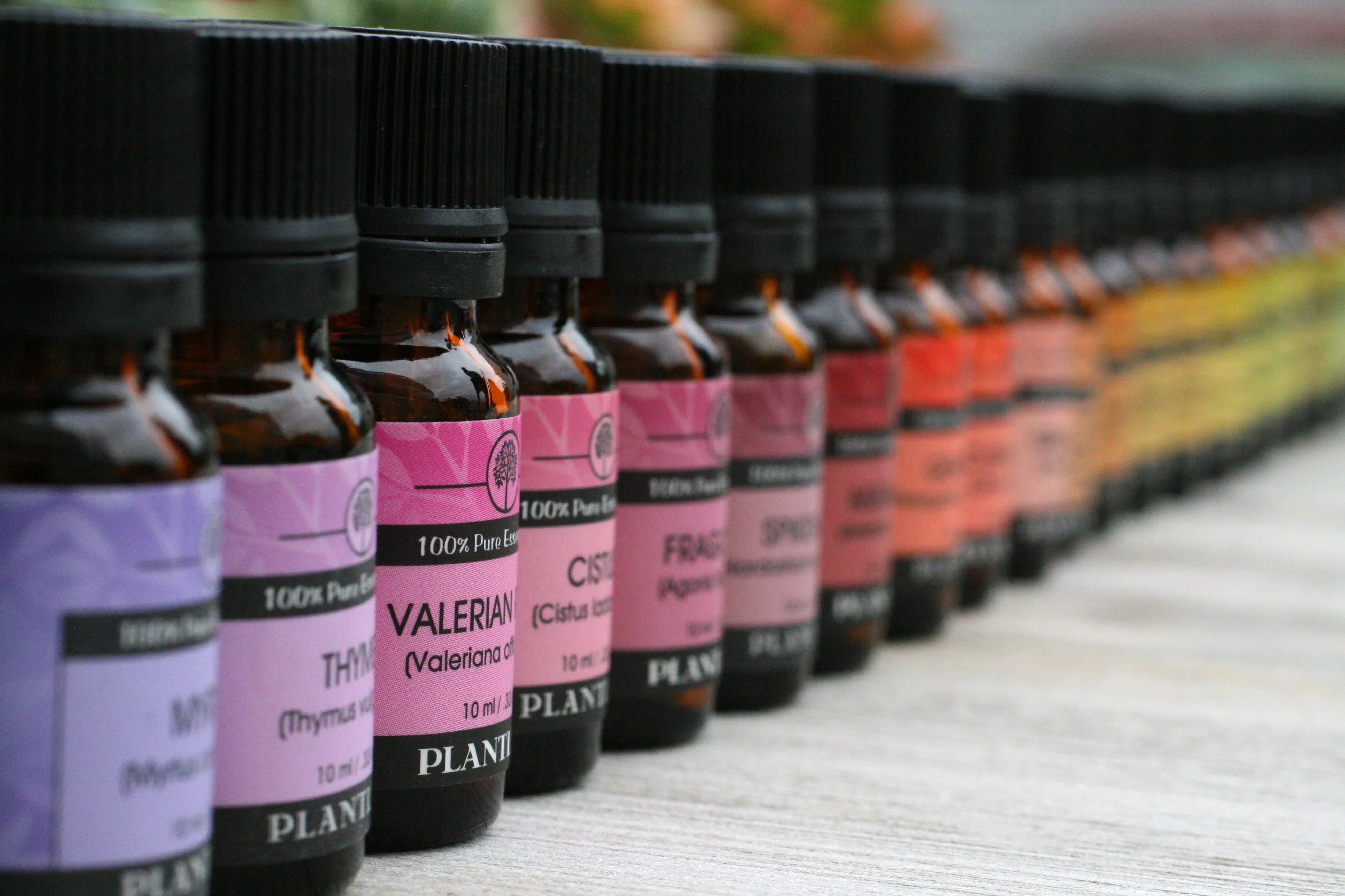 Davana Essential Oil - Image 3