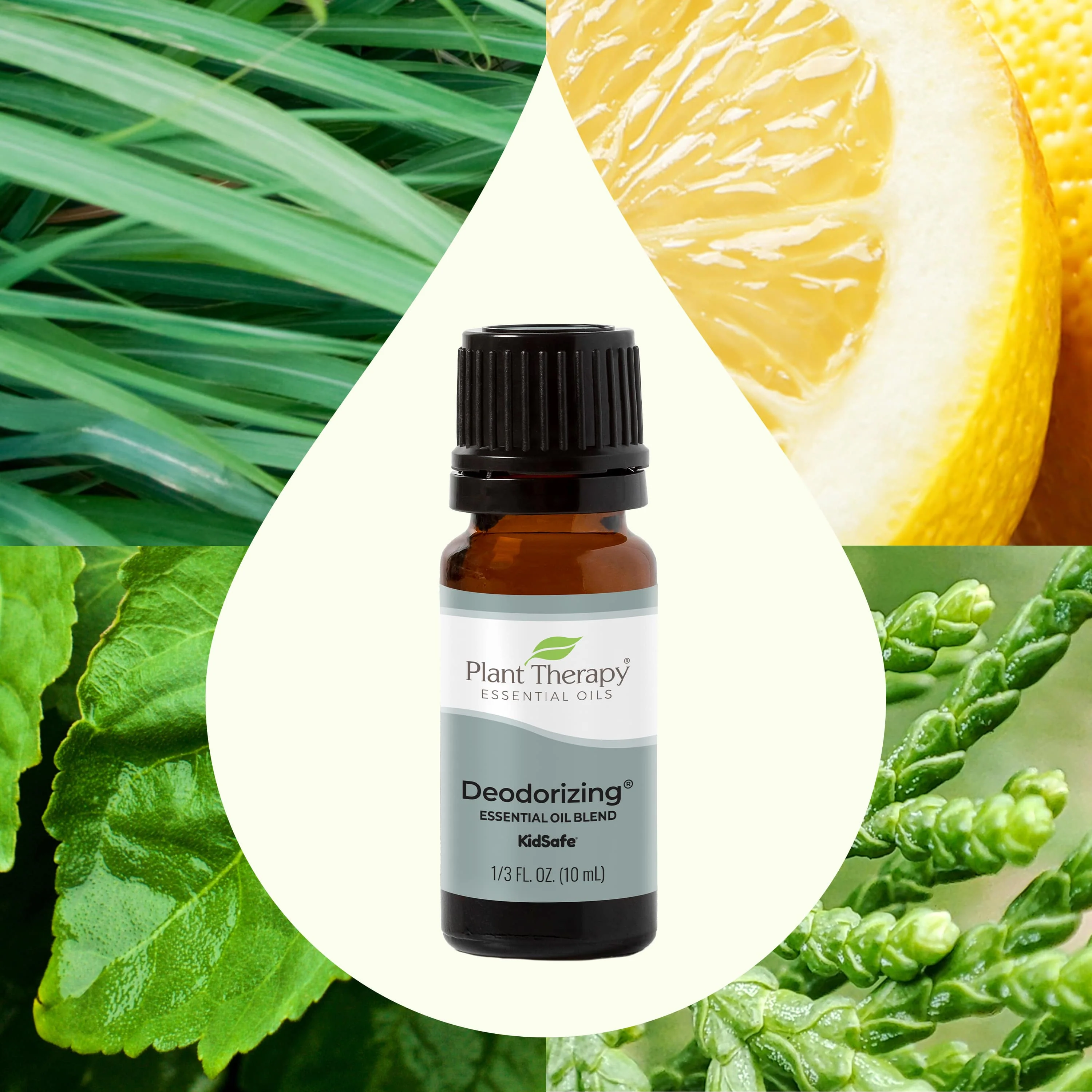 Deodorizing Essential Oil Blend - Image 3