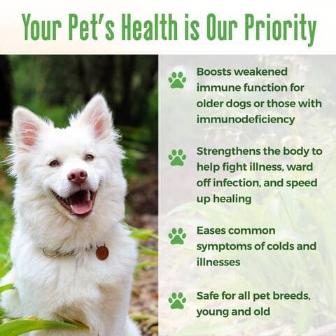 Dog Allergy & Immune Support Supplement by BestLife4Pets - Image 4