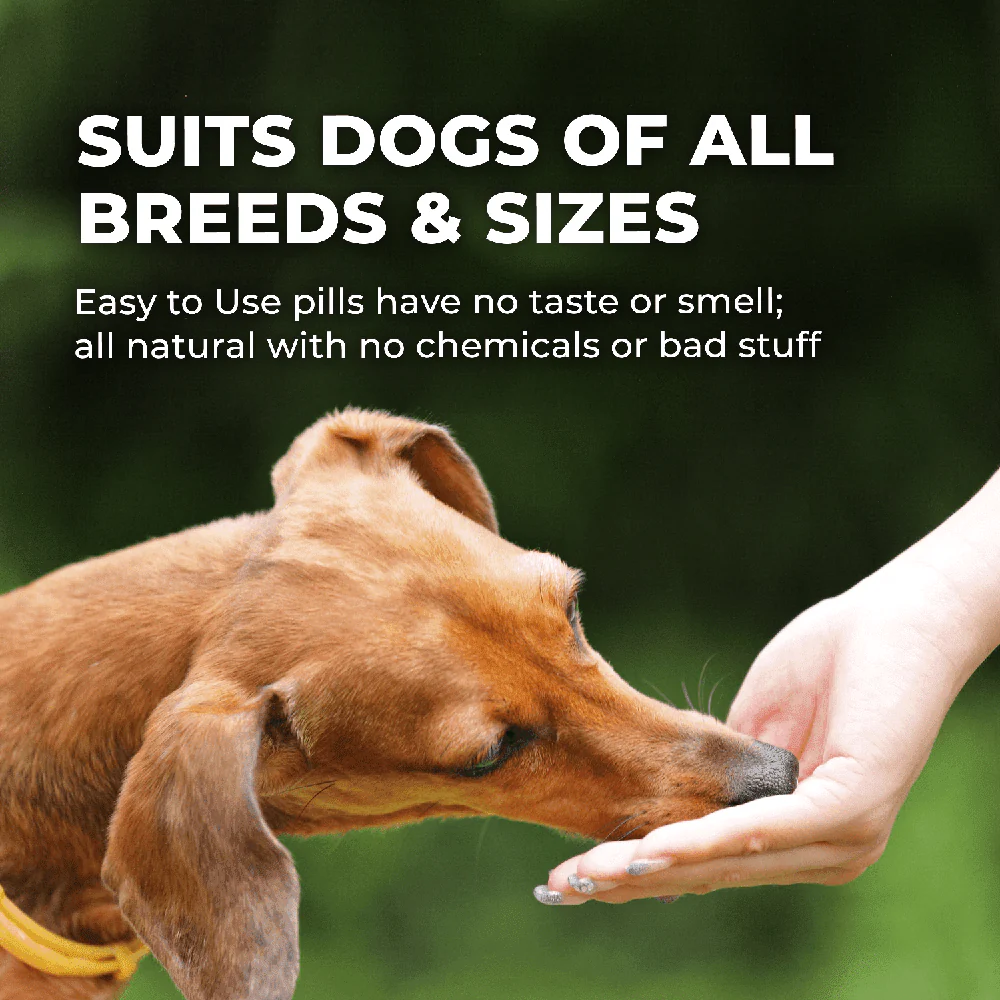 Dog Allergy & Immune Support Supplement by BestLife4Pets - Image 6