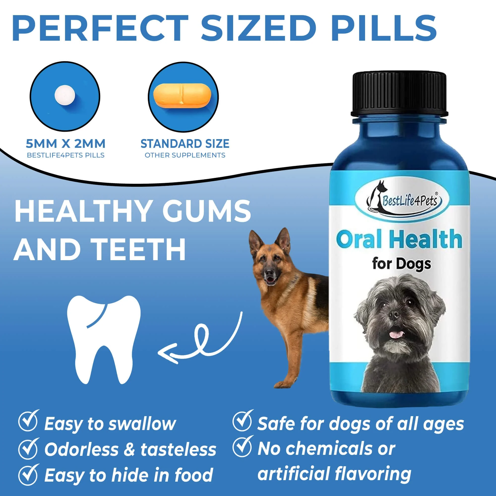 Dog Bad Breath & Dental Care Solution - Natural Remedy for Canine Oral Health by BestLife4Pets - Image 4