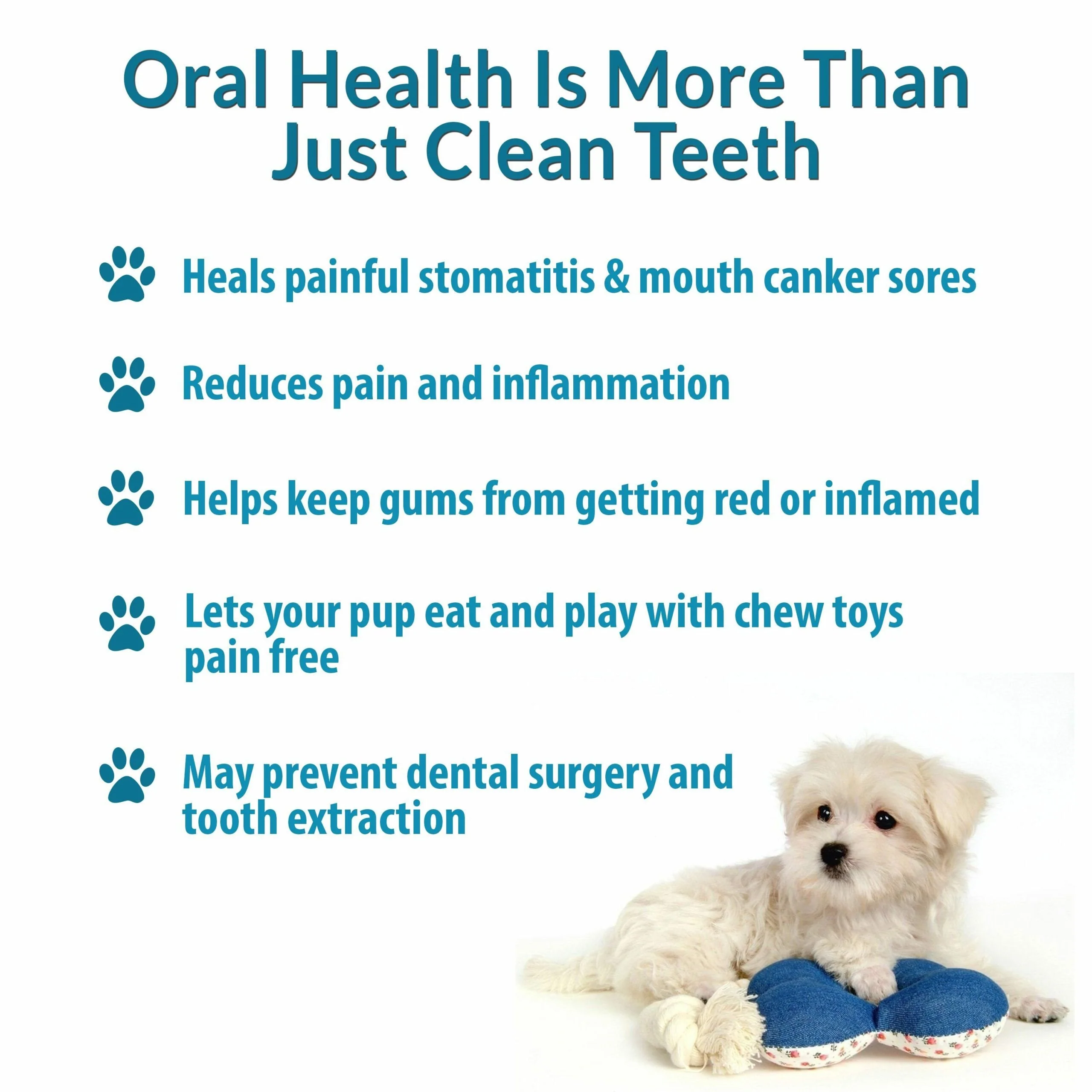 Dog Bad Breath & Dental Care Solution - Natural Remedy for Canine Oral Health by BestLife4Pets - Image 5