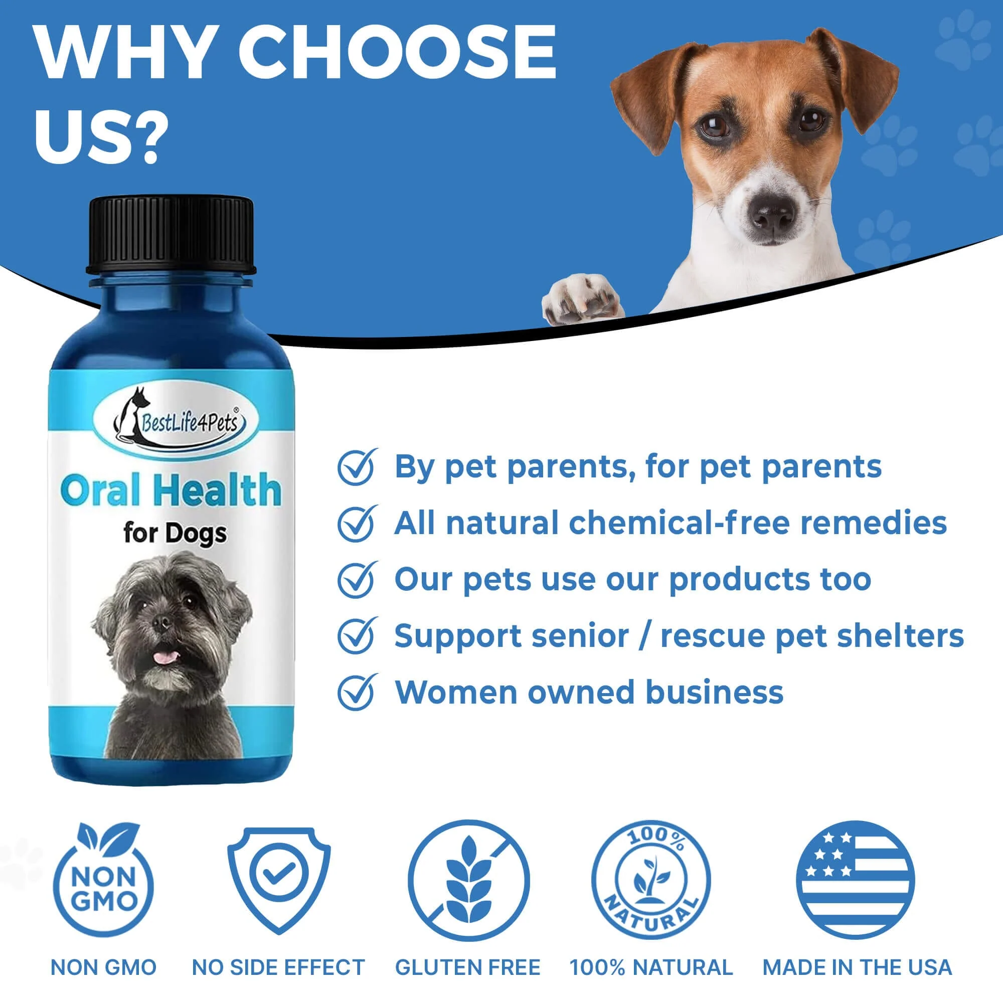 Dog Bad Breath & Dental Care Solution - Natural Remedy for Canine Oral Health by BestLife4Pets - Image 8